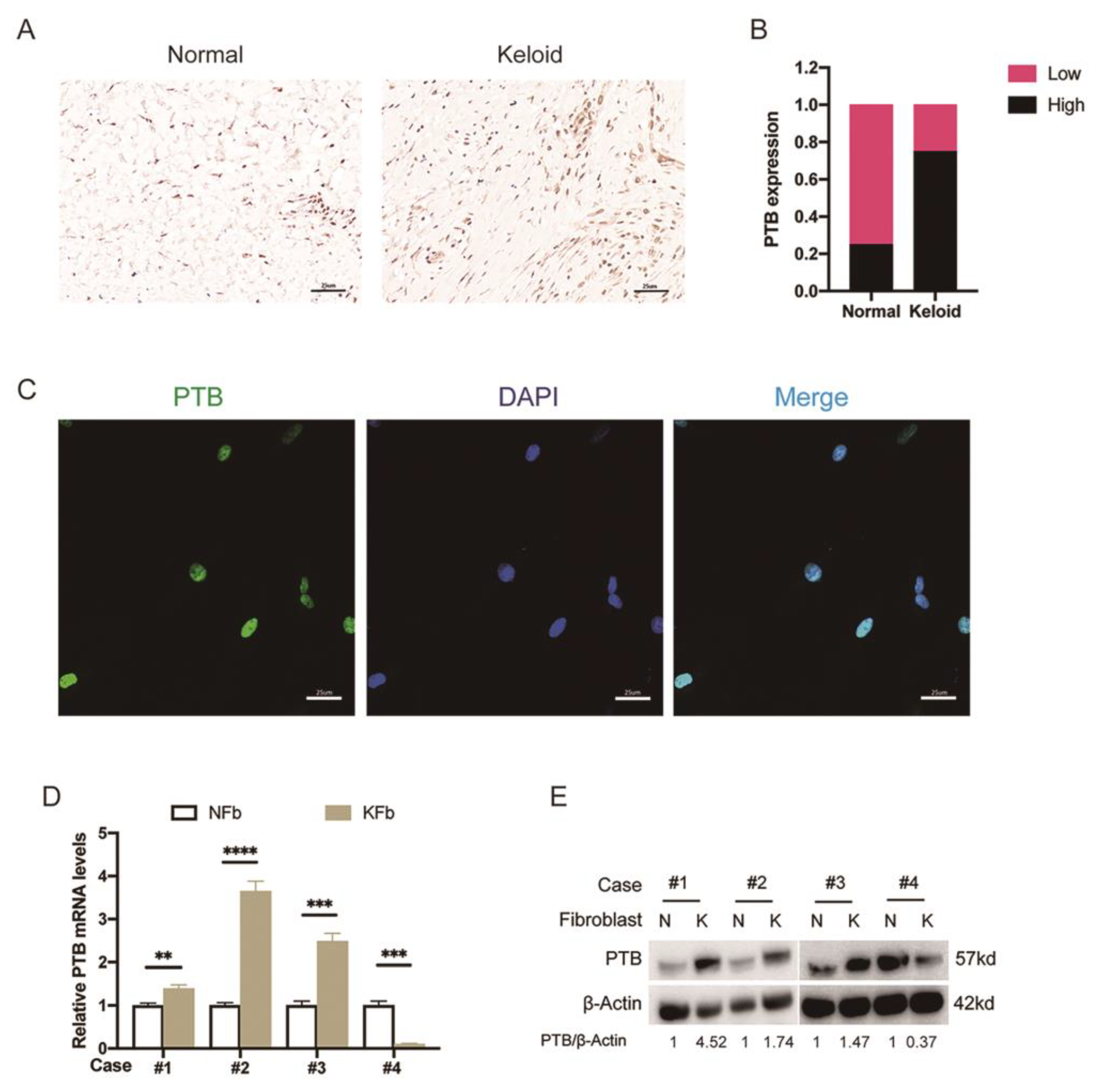 Ijms 24 05162 g001 Ijms 24 05162 g001
