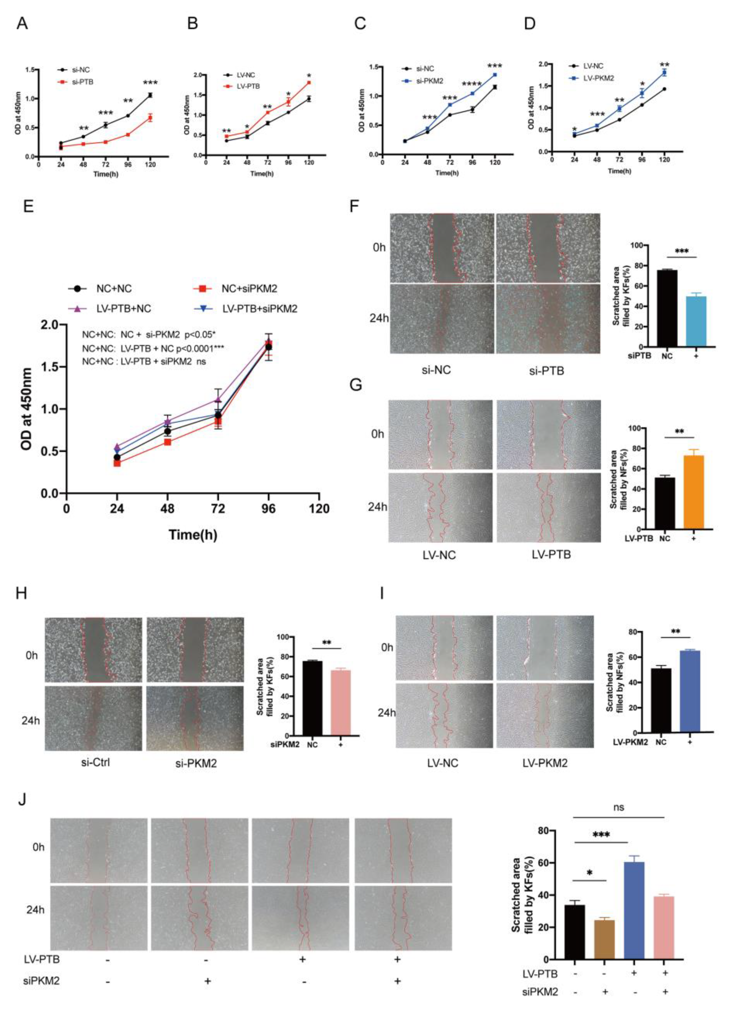 Ijms 24 05162 g007 Ijms 24 05162 g007
