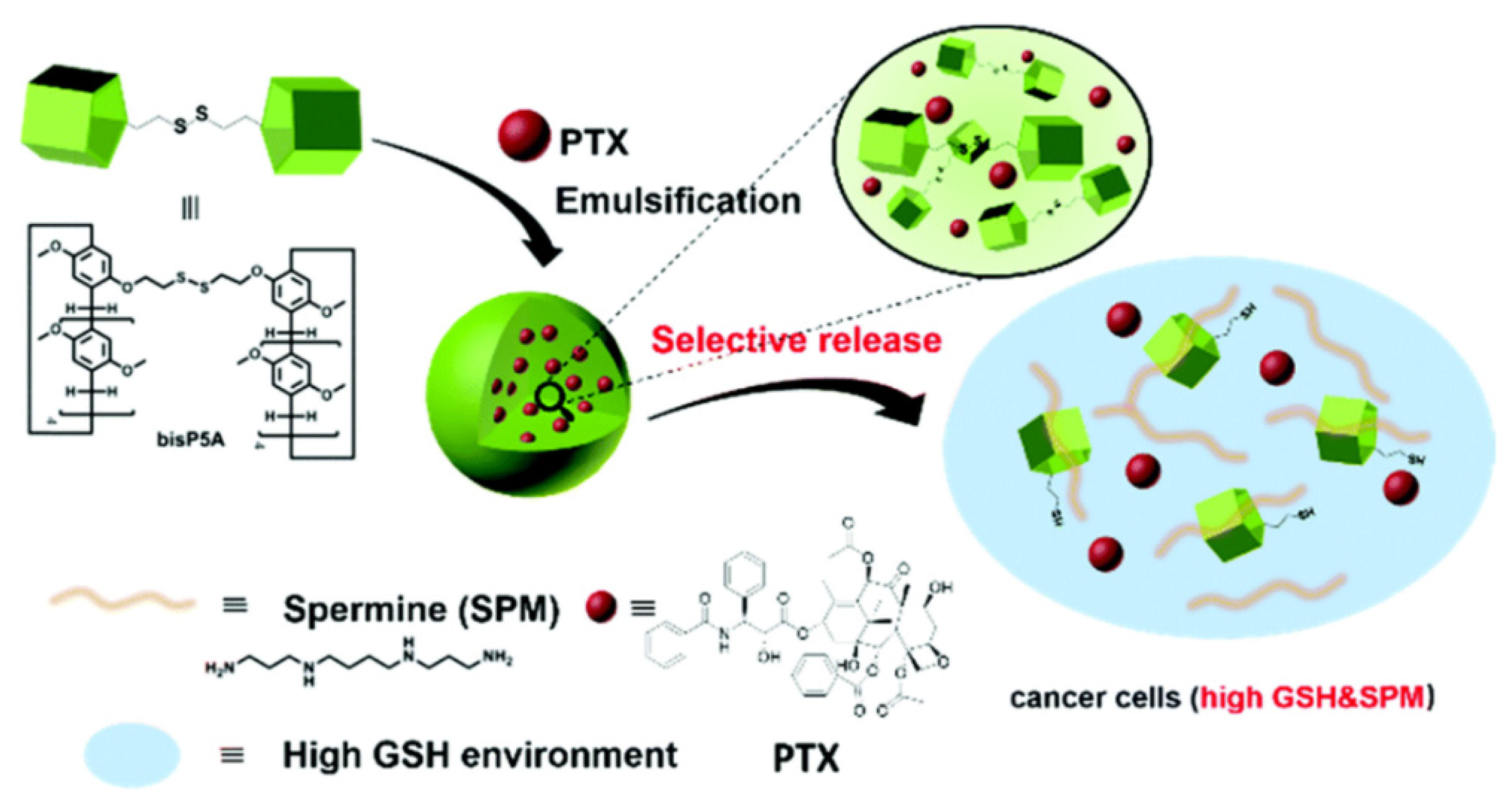 Ijms 24 05167 g006 Ijms 24 05167 g006