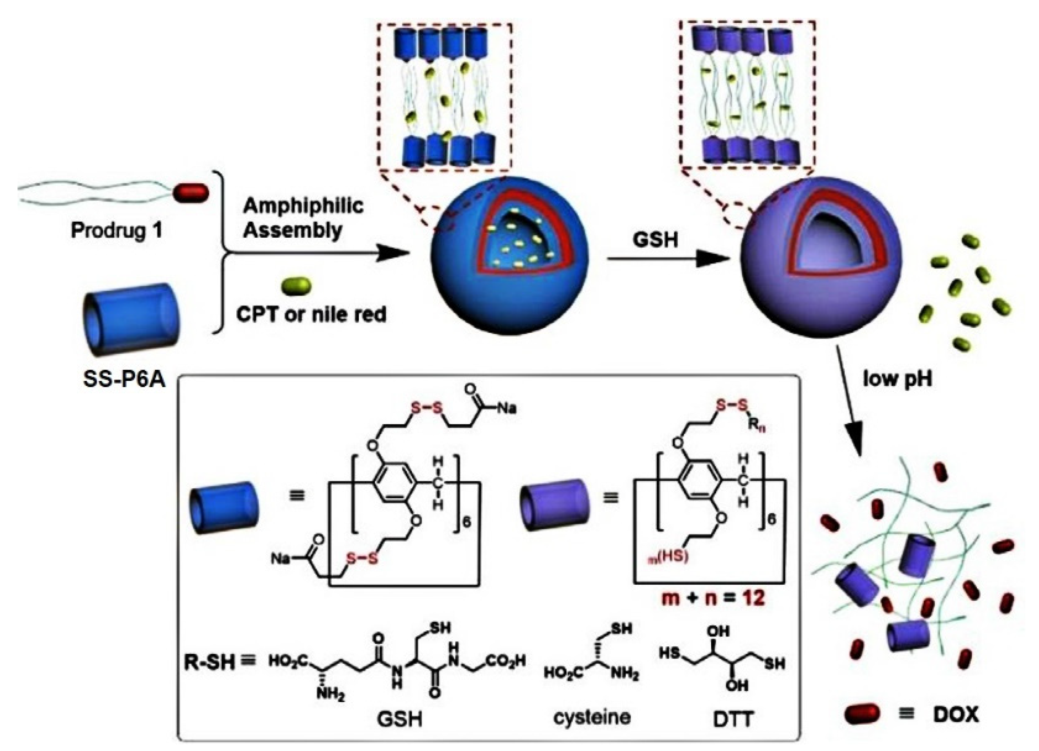 Ijms 24 05167 g009 Ijms 24 05167 g009