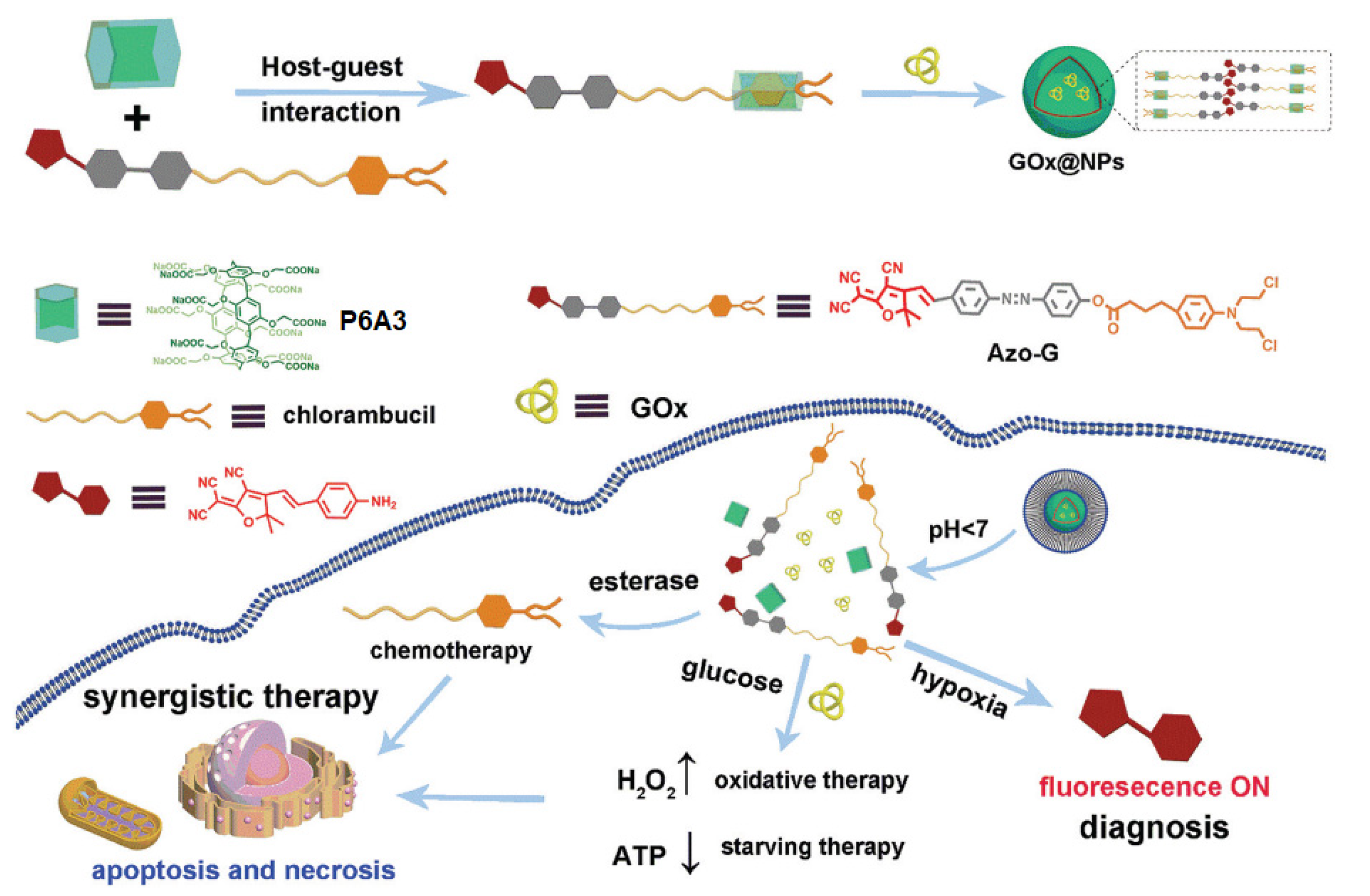 Ijms 24 05167 g010 Ijms 24 05167 g010