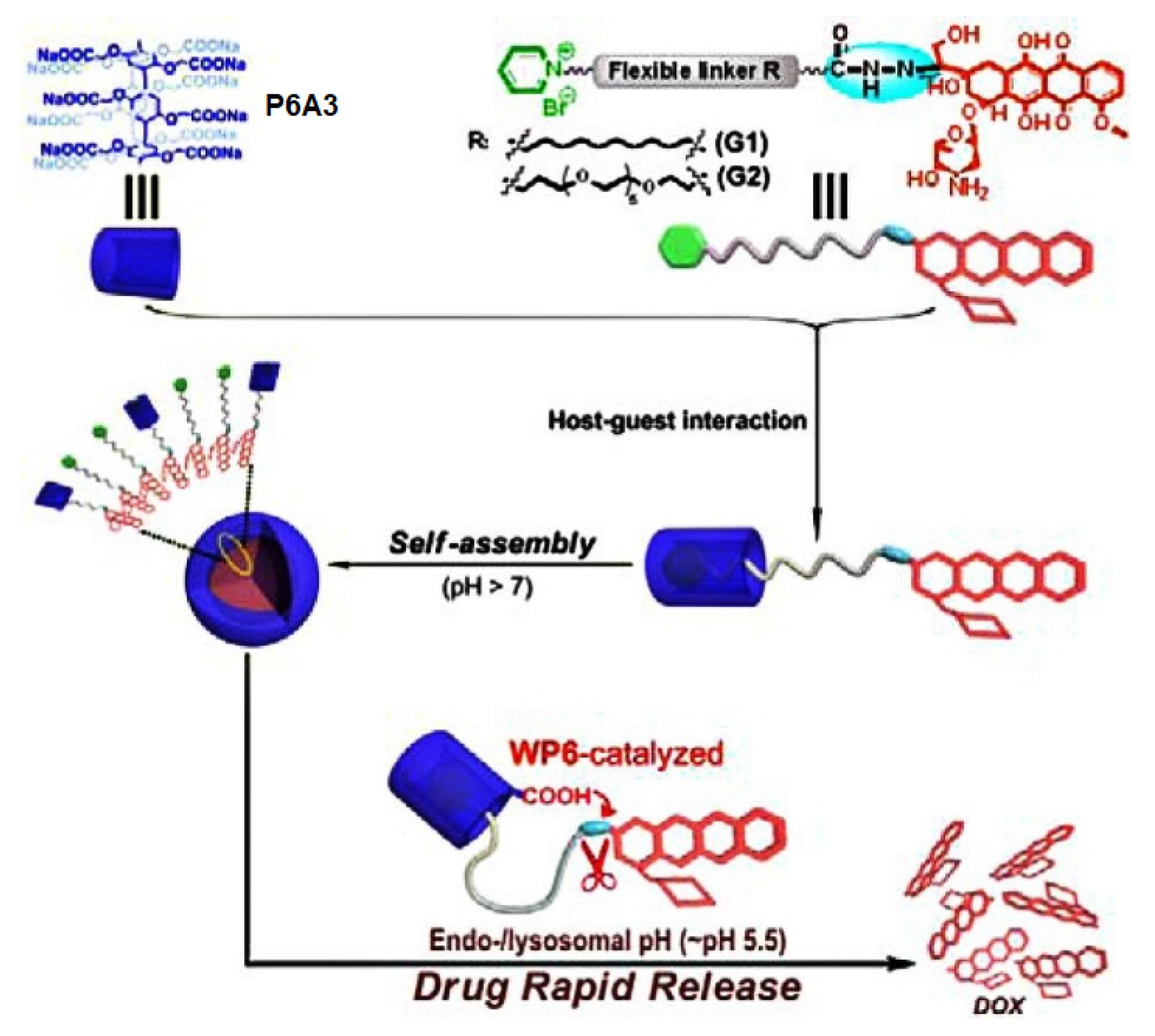 Ijms 24 05167 g012 Ijms 24 05167 g012