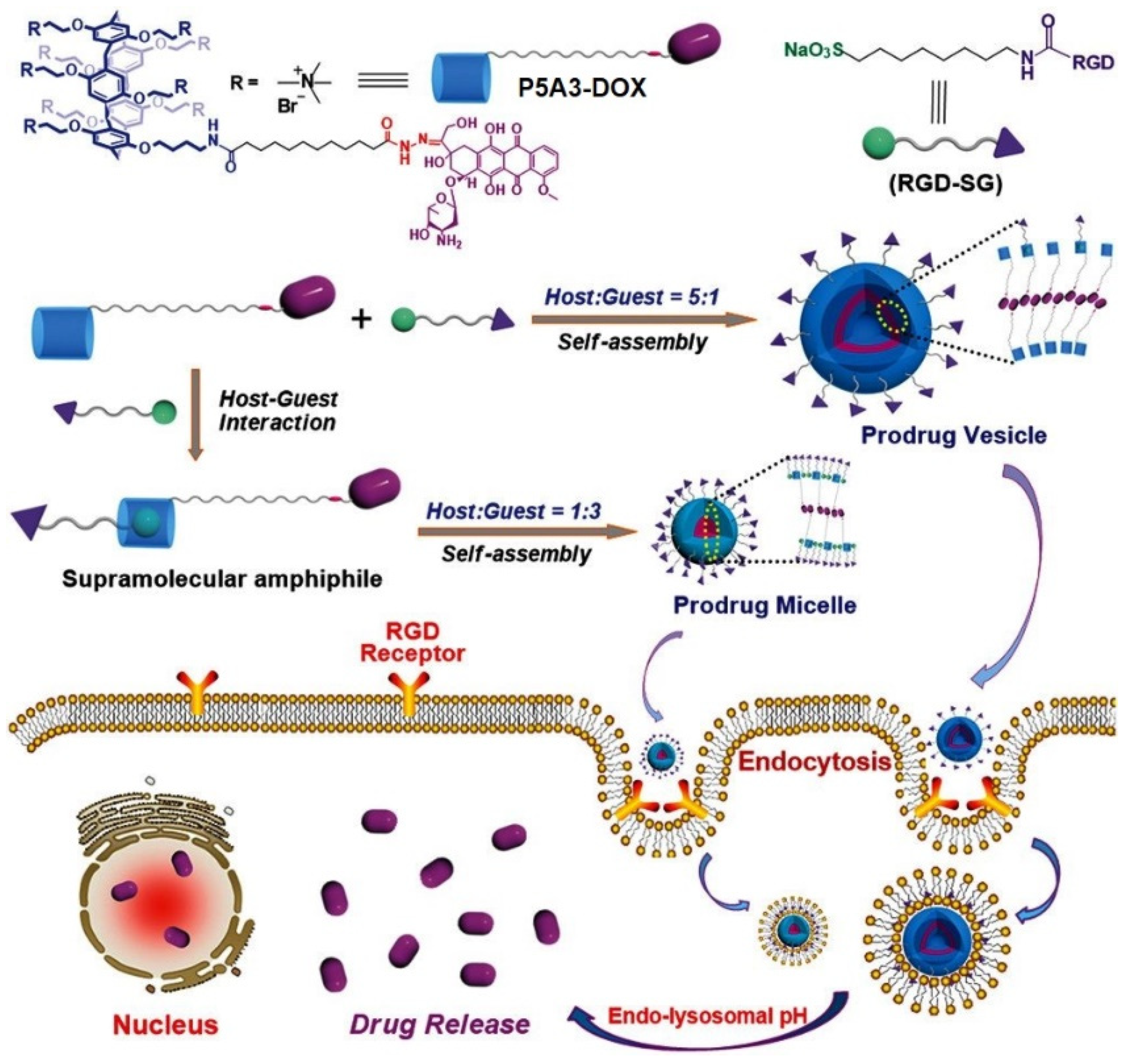 Ijms 24 05167 g013 Ijms 24 05167 g013