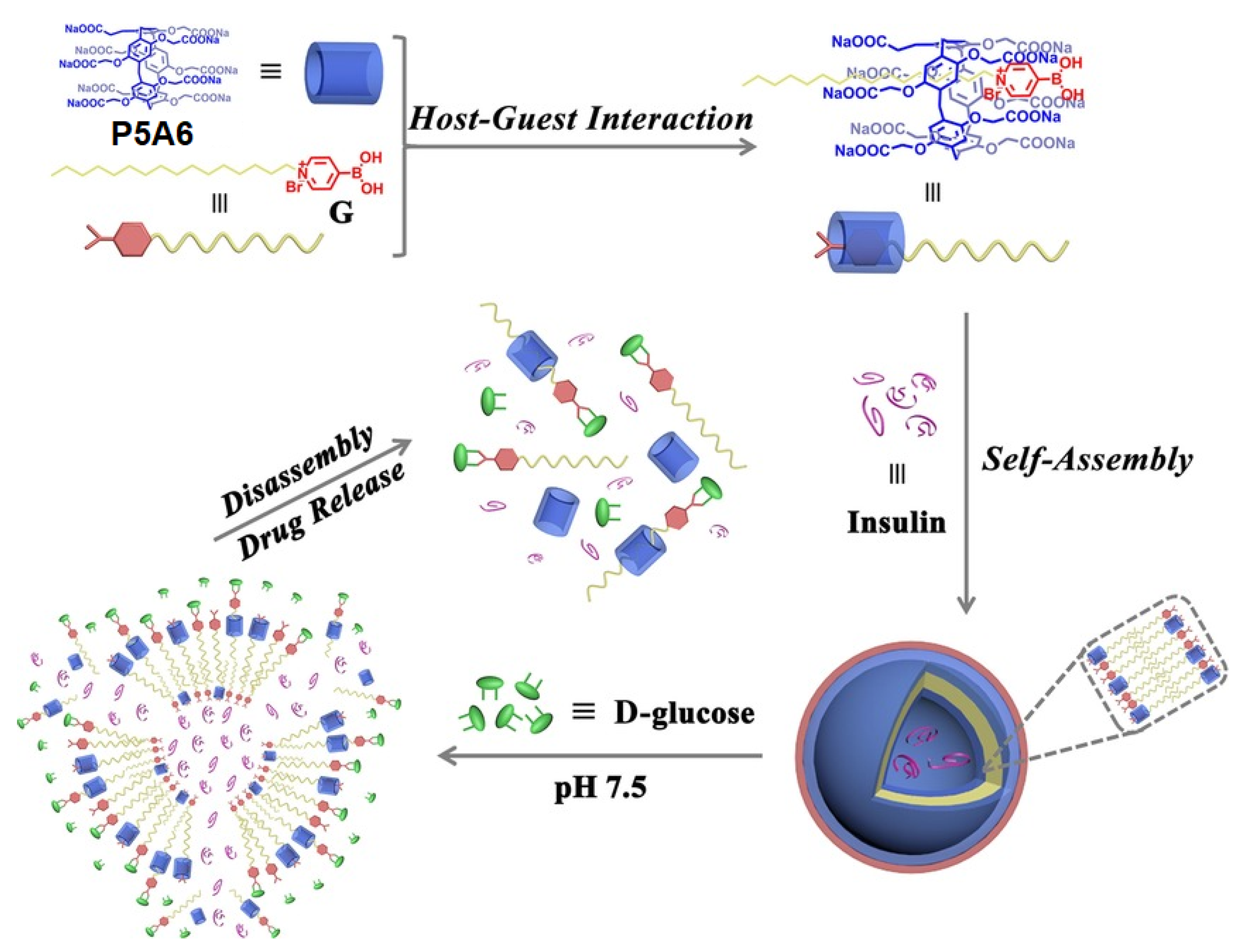 Ijms 24 05167 g021 Ijms 24 05167 g021