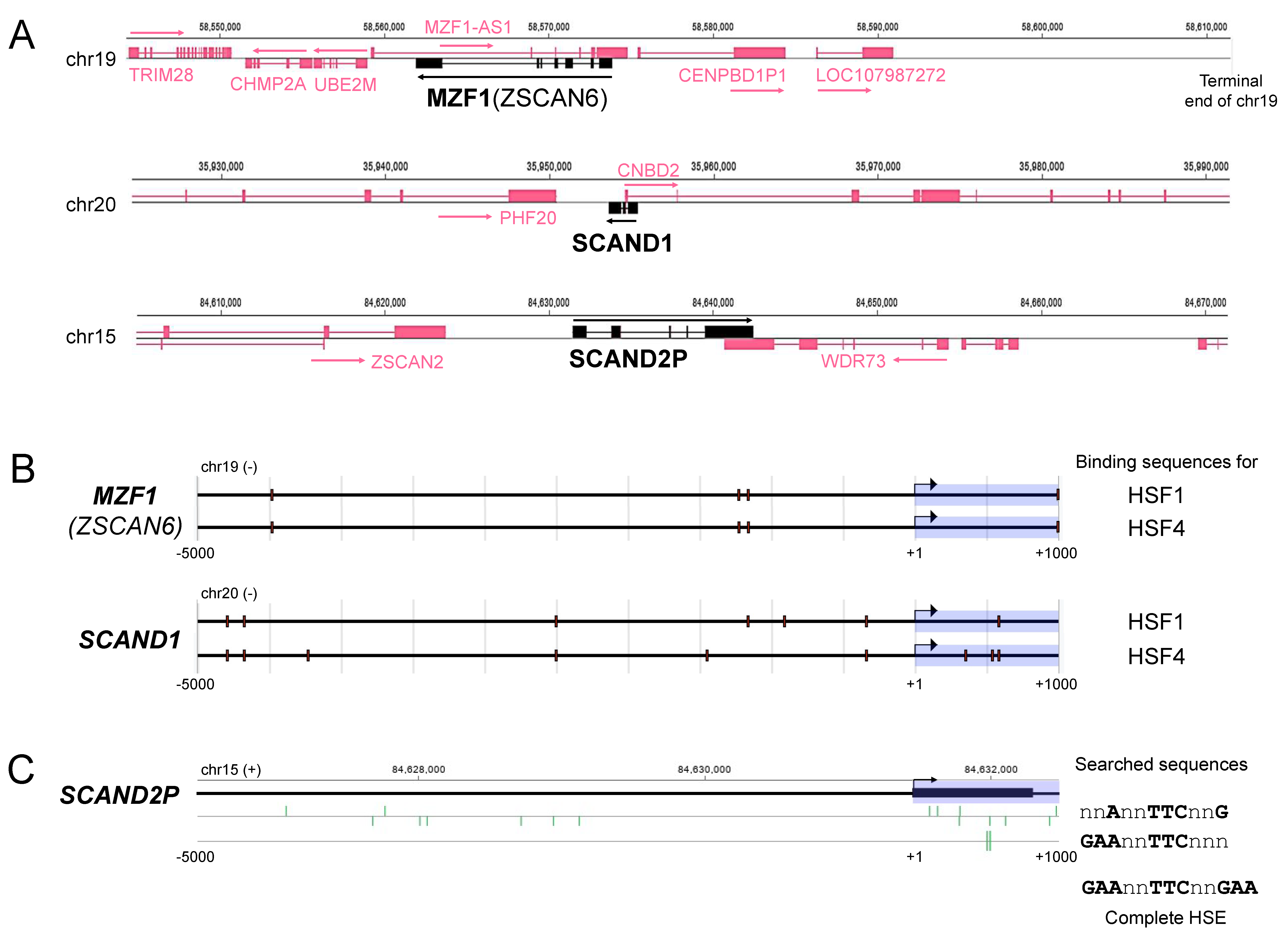 Ijms 24 05168 g001 Ijms 24 05168 g001