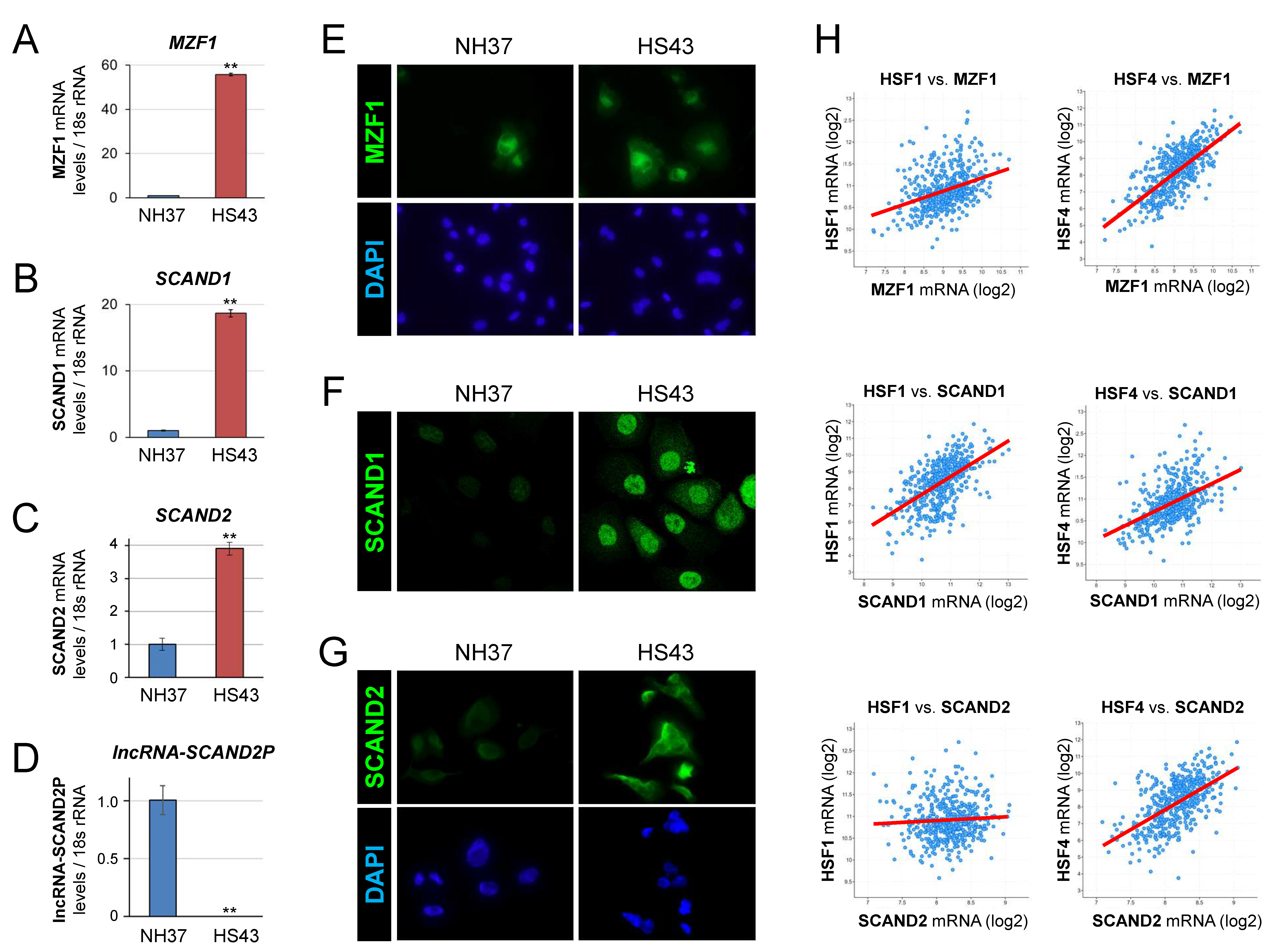 Ijms 24 05168 g003 Ijms 24 05168 g003