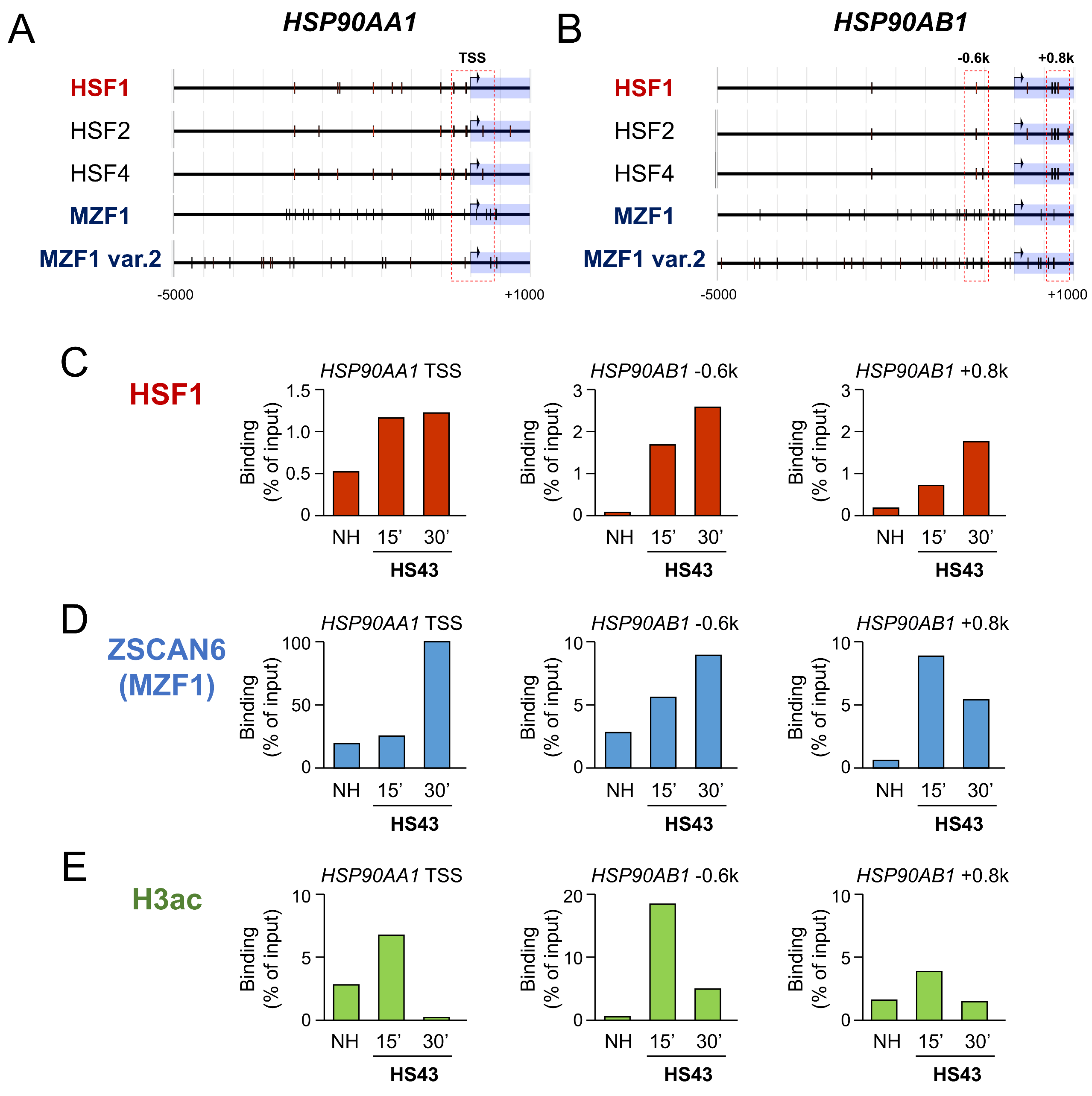 Ijms 24 05168 g005 Ijms 24 05168 g005