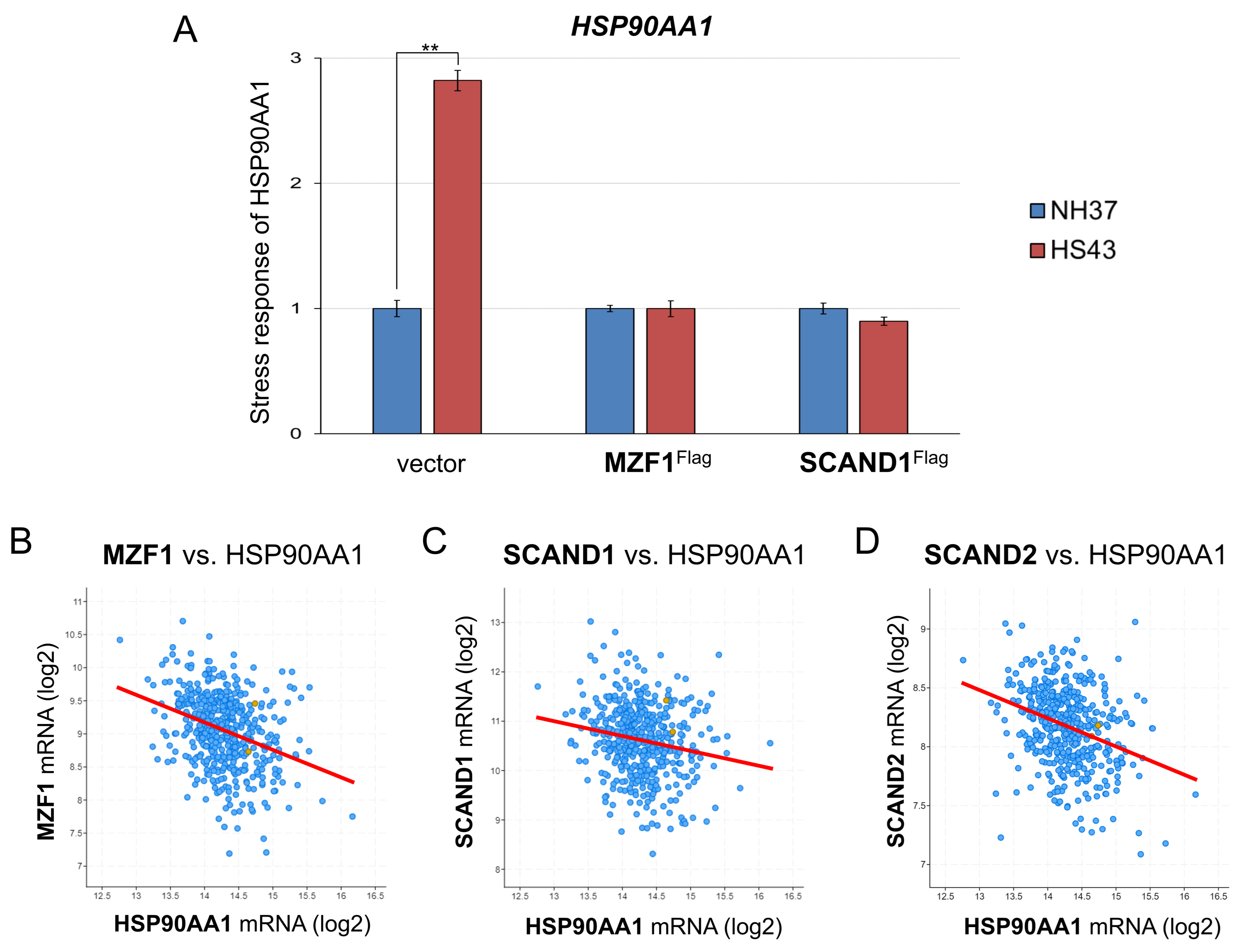Ijms 24 05168 g006 Ijms 24 05168 g006