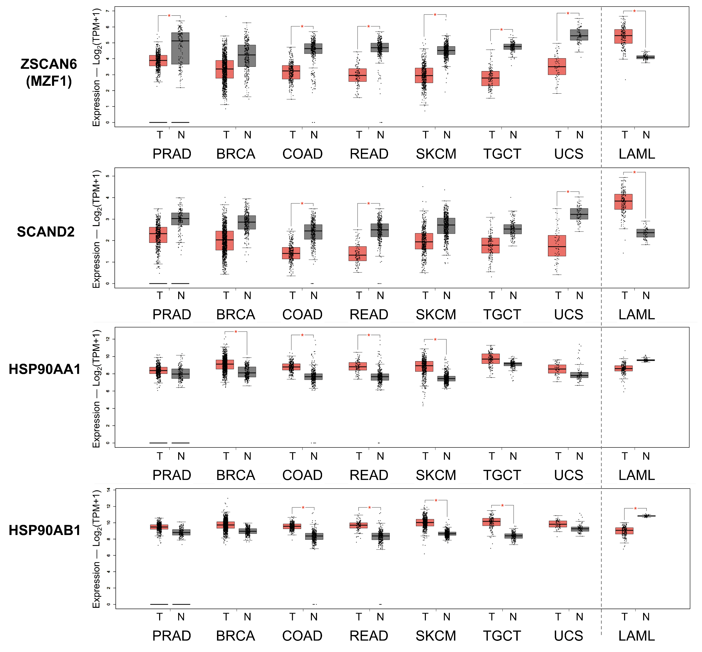 Ijms 24 05168 g007 Ijms 24 05168 g007