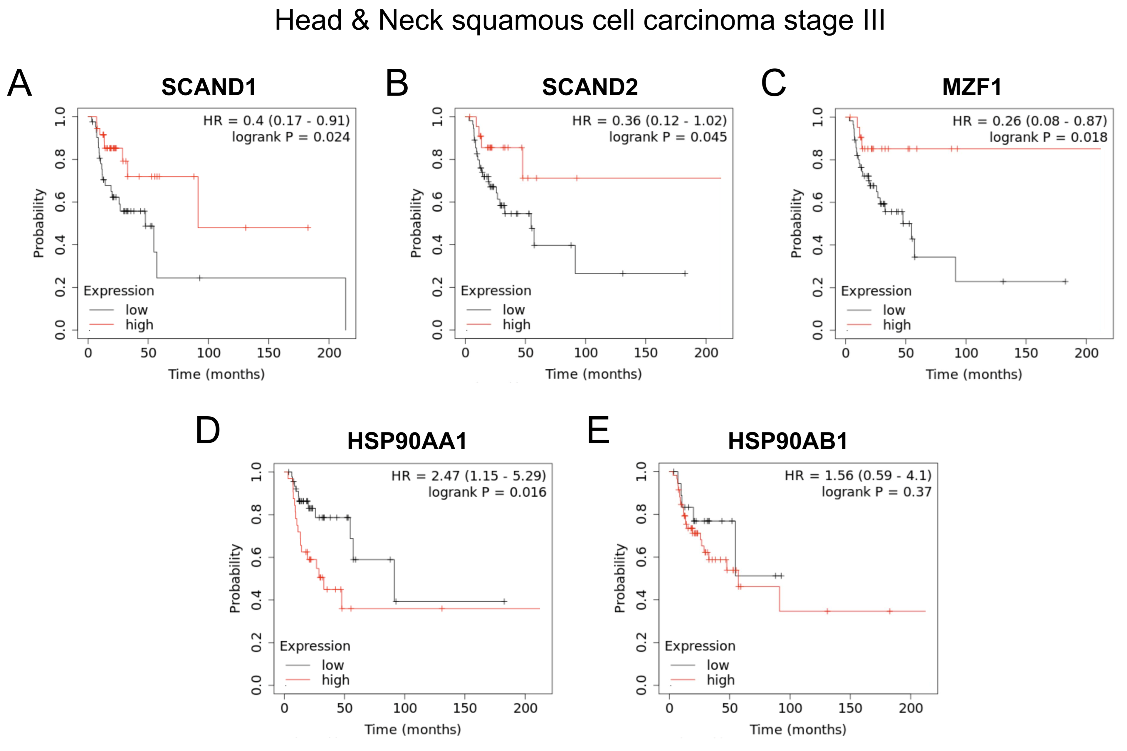 Ijms 24 05168 g009 Ijms 24 05168 g009