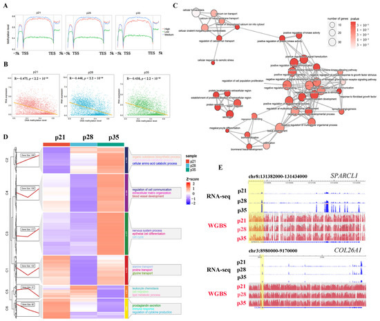 Integrated Analysis of DNA Methylation and Gene Expression in Porcine ...