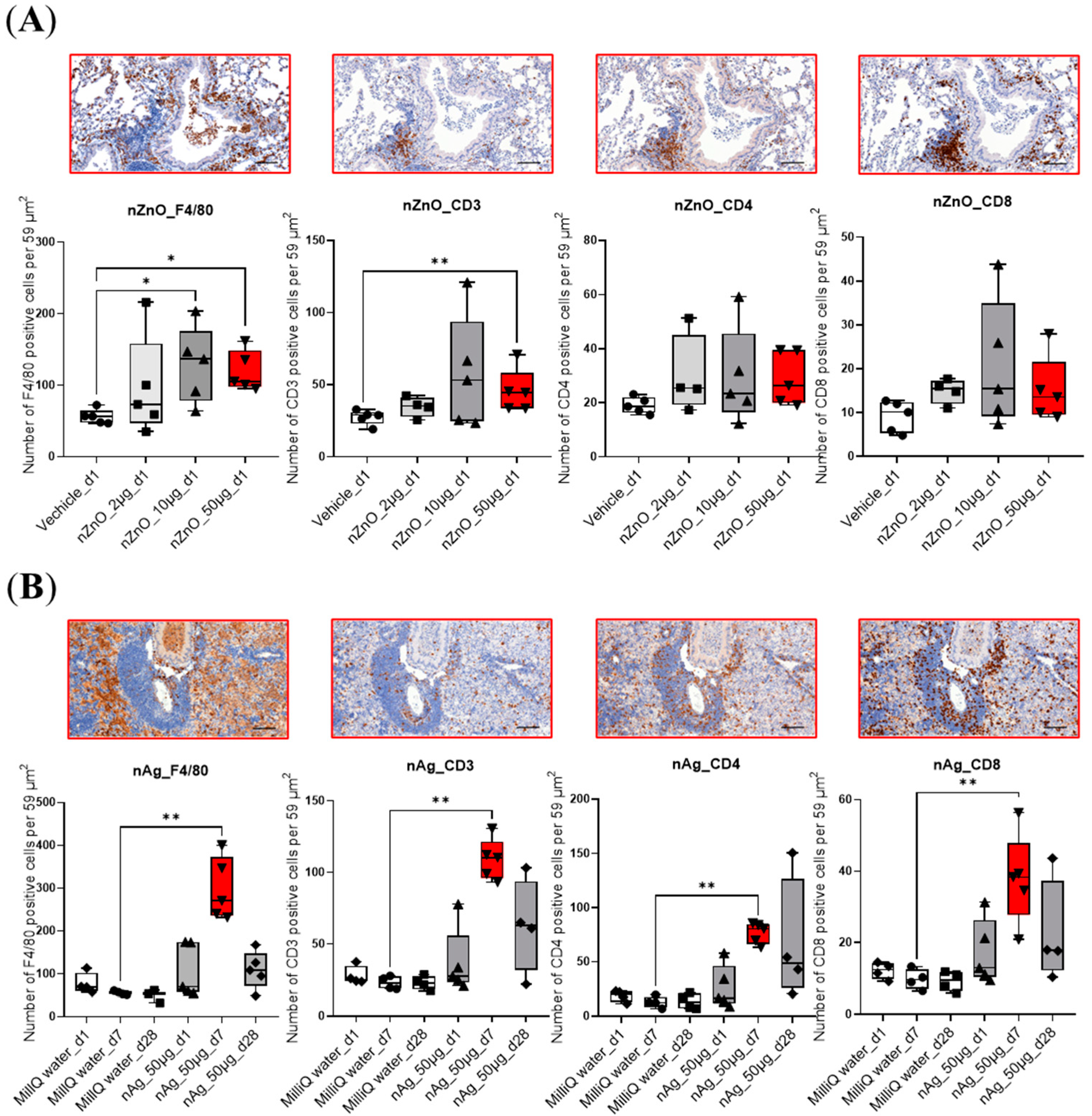 Ijms 24 05183 g001 Ijms 24 05183 g001