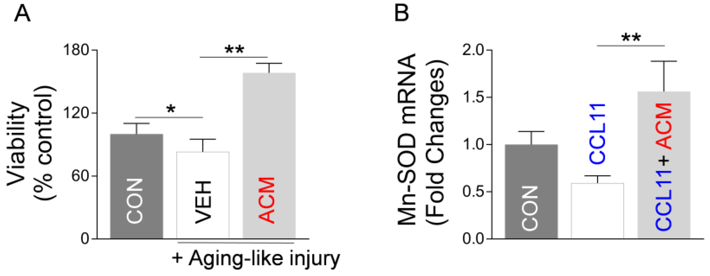 Ijms 24 05187 g005 Ijms 24 05187 g005