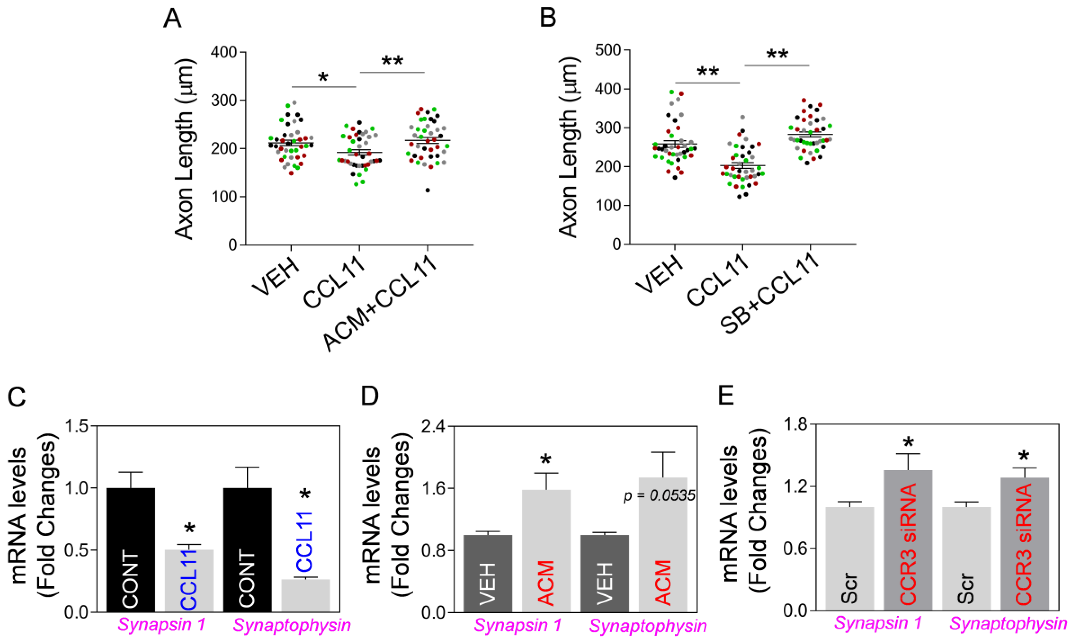 Ijms 24 05187 g006 Ijms 24 05187 g006