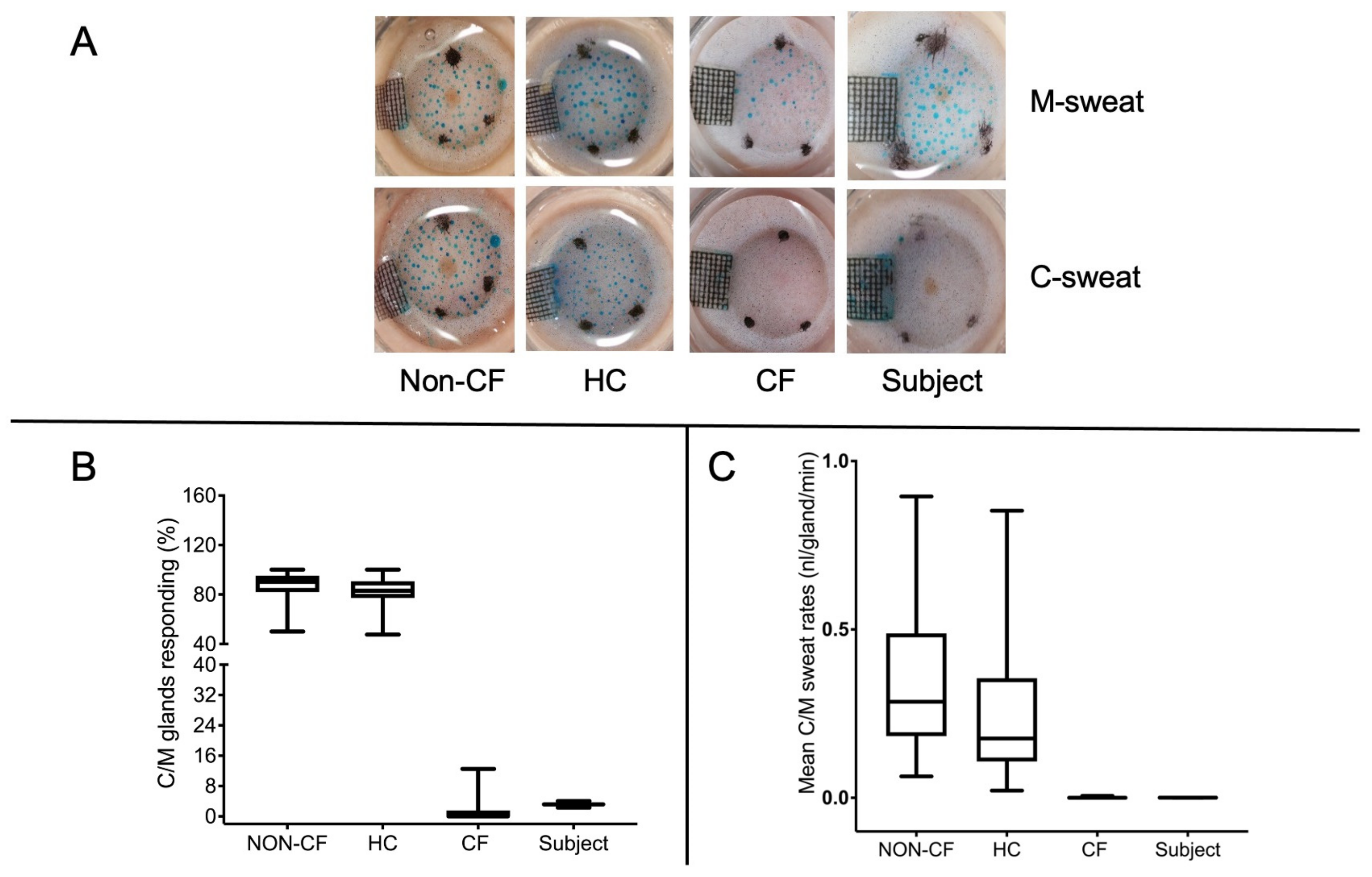 Ijms 24 05199 g002 Ijms 24 05199 g002