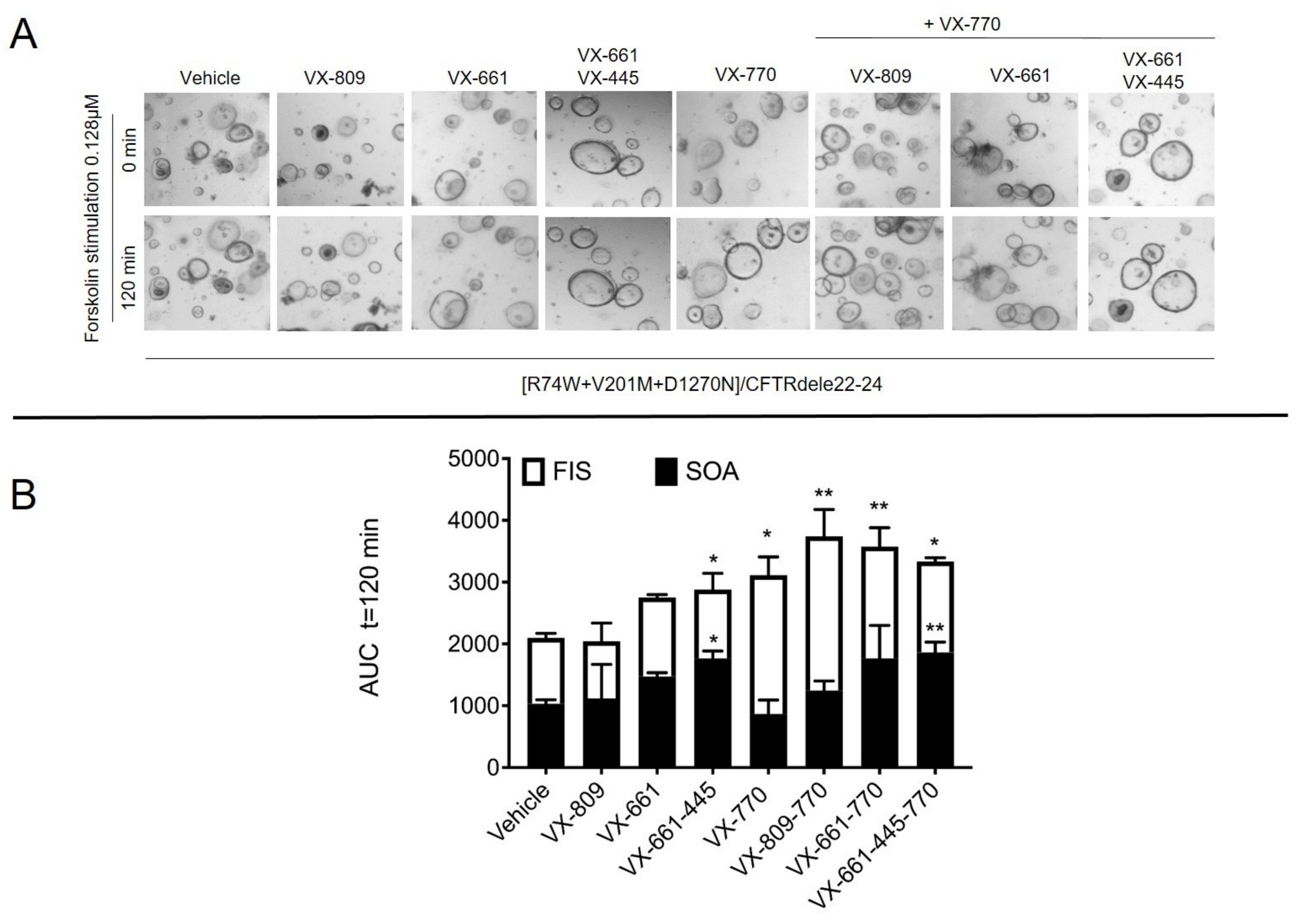 Ijms 24 05199 g003 Ijms 24 05199 g003