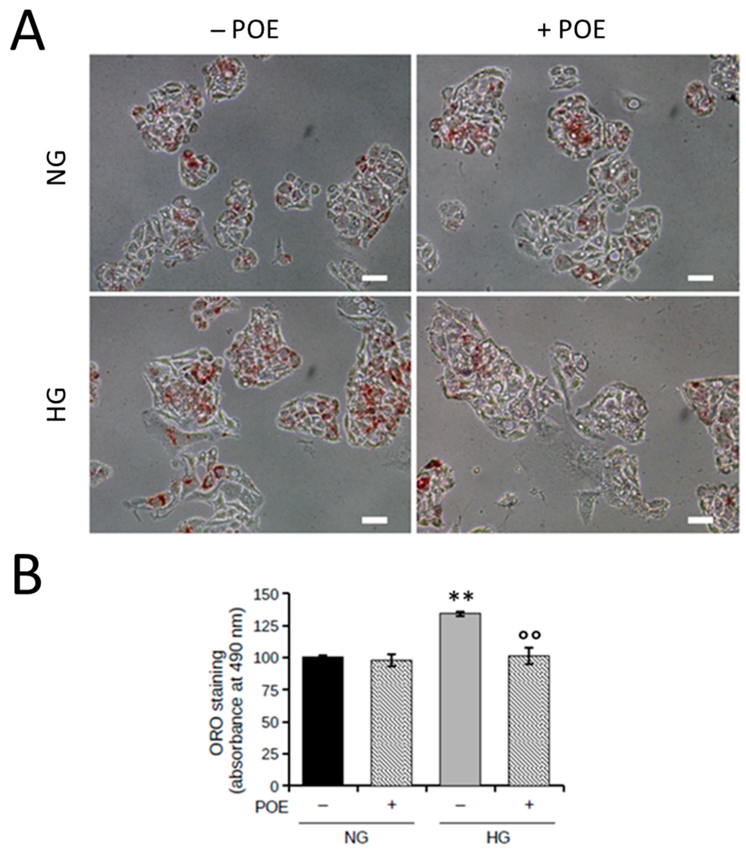 Ijms 24 05203 g002 Ijms 24 05203 g002