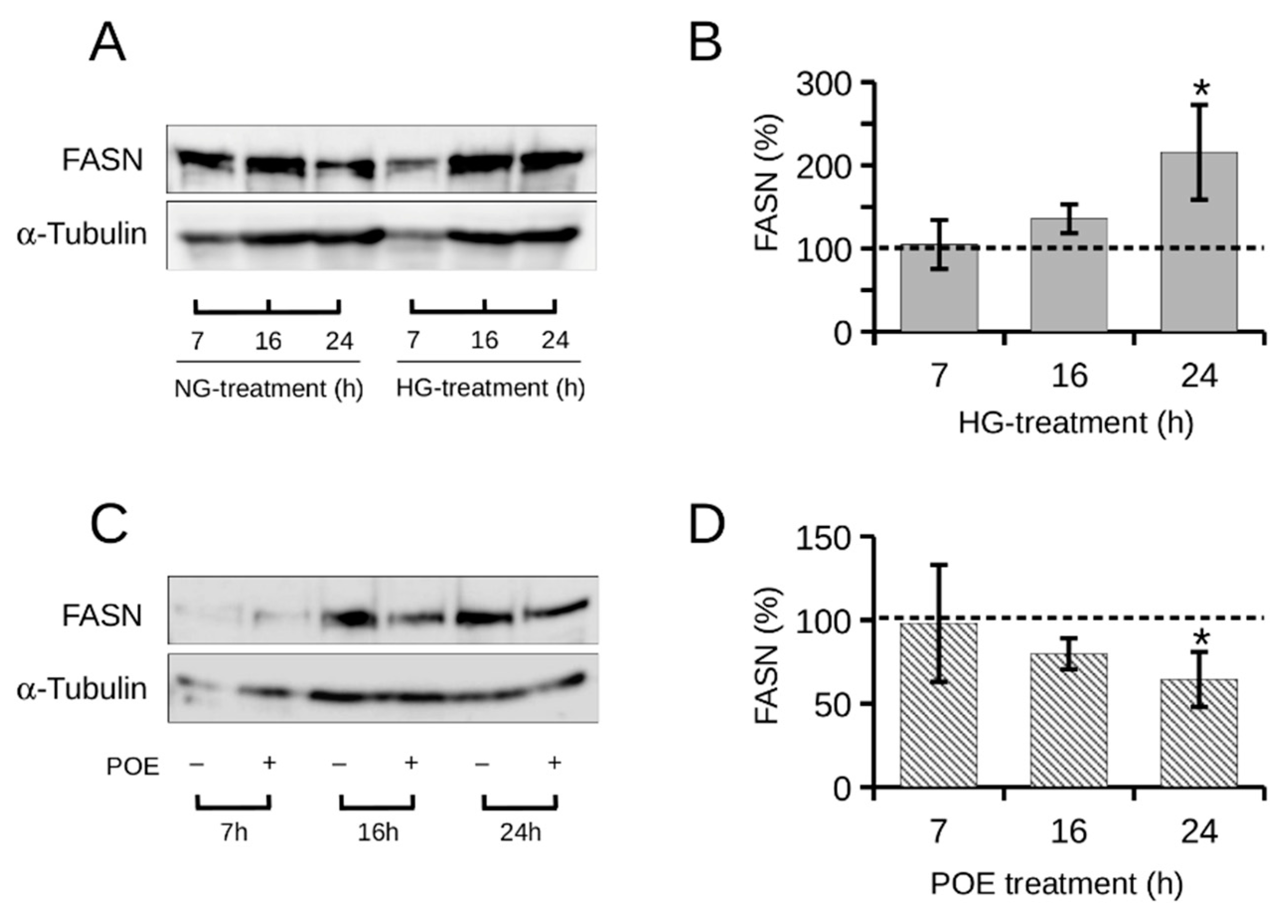 Ijms 24 05203 g003 Ijms 24 05203 g003