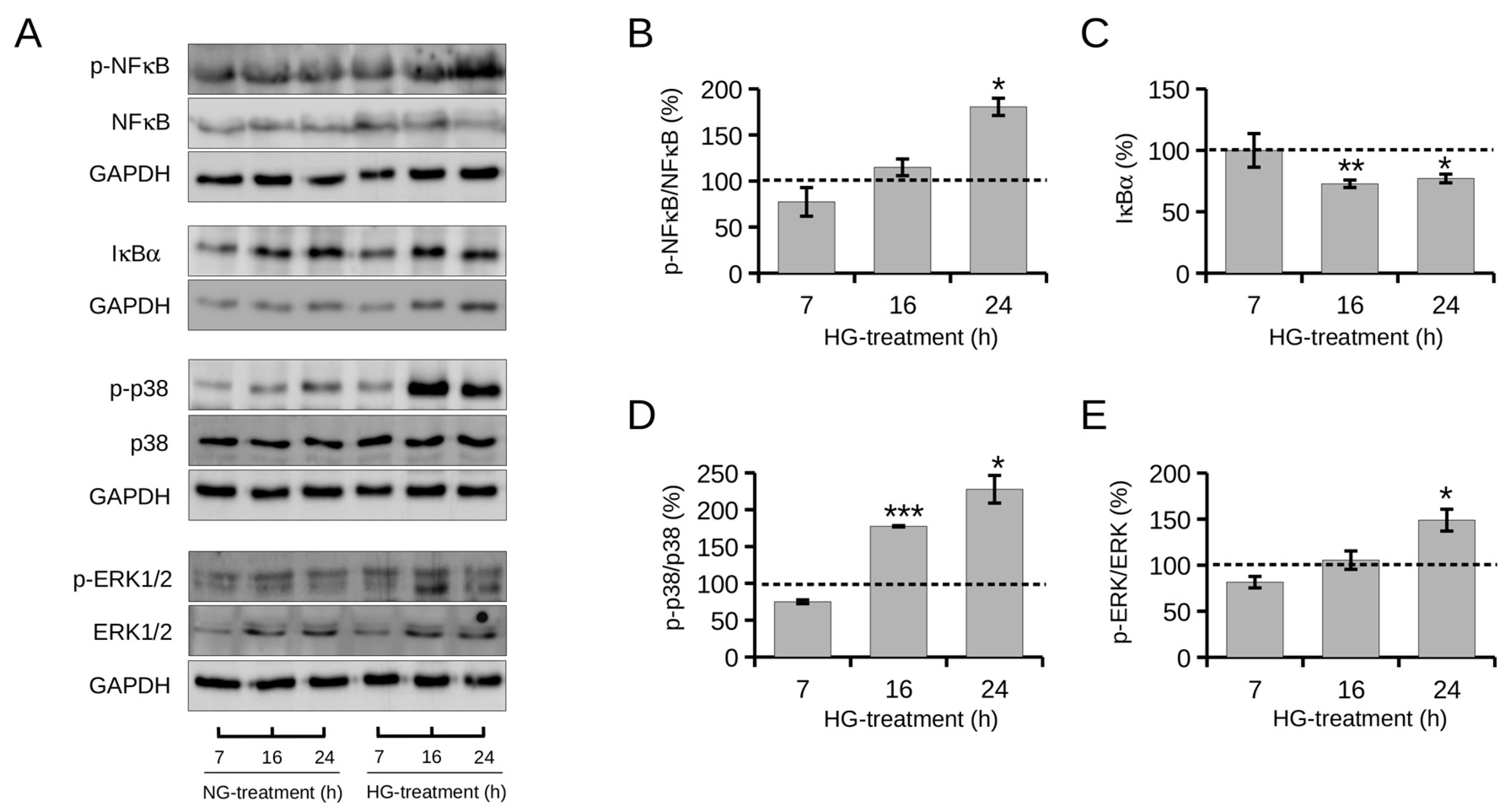 Ijms 24 05203 g004 Ijms 24 05203 g004
