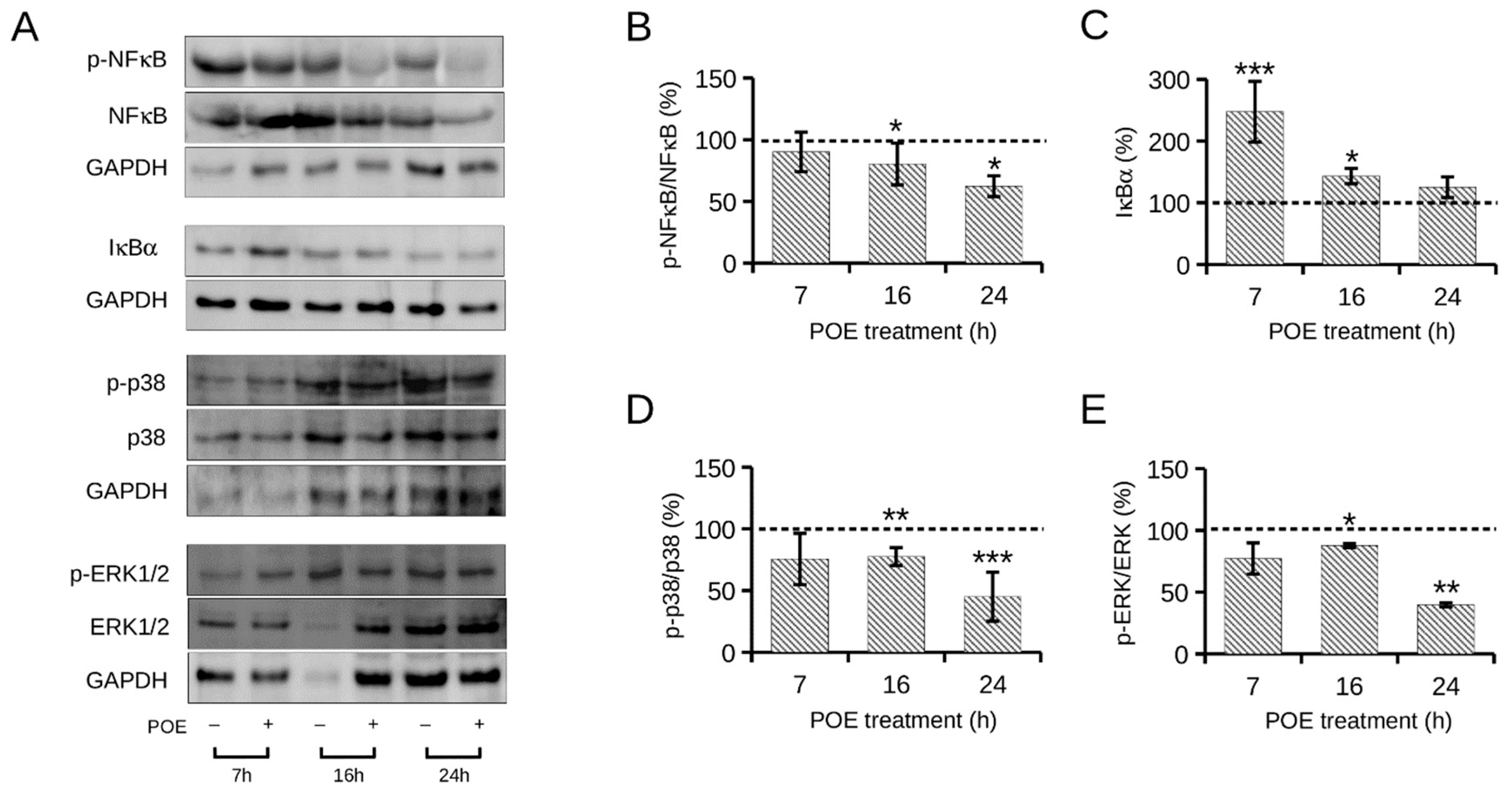 Ijms 24 05203 g005 Ijms 24 05203 g005