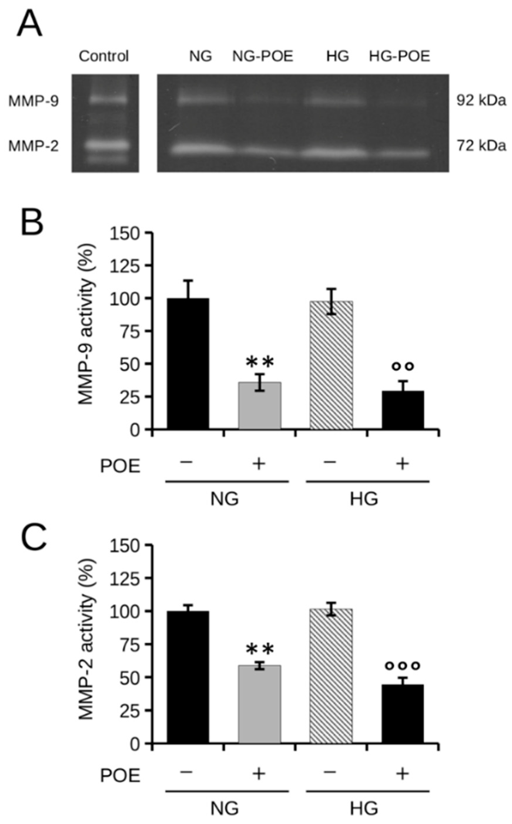 Ijms 24 05203 g006 Ijms 24 05203 g006