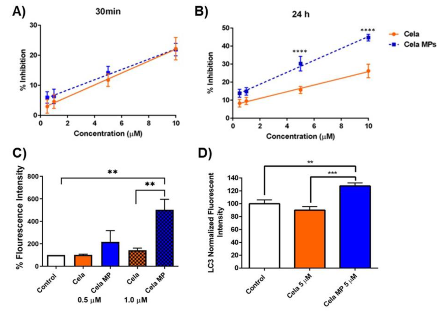 Ijms 24 05204 g006 Ijms 24 05204 g006