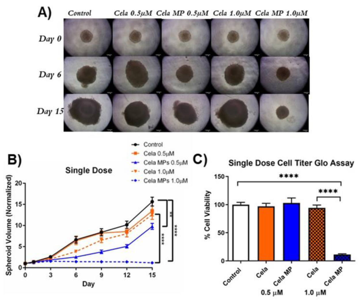 Ijms 24 05204 g007 Ijms 24 05204 g007