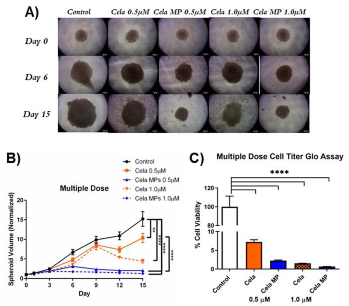 Ijms 24 05204 g008 Ijms 24 05204 g008