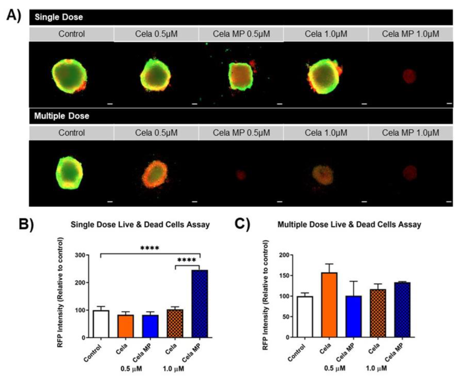 Ijms 24 05204 g009 Ijms 24 05204 g009