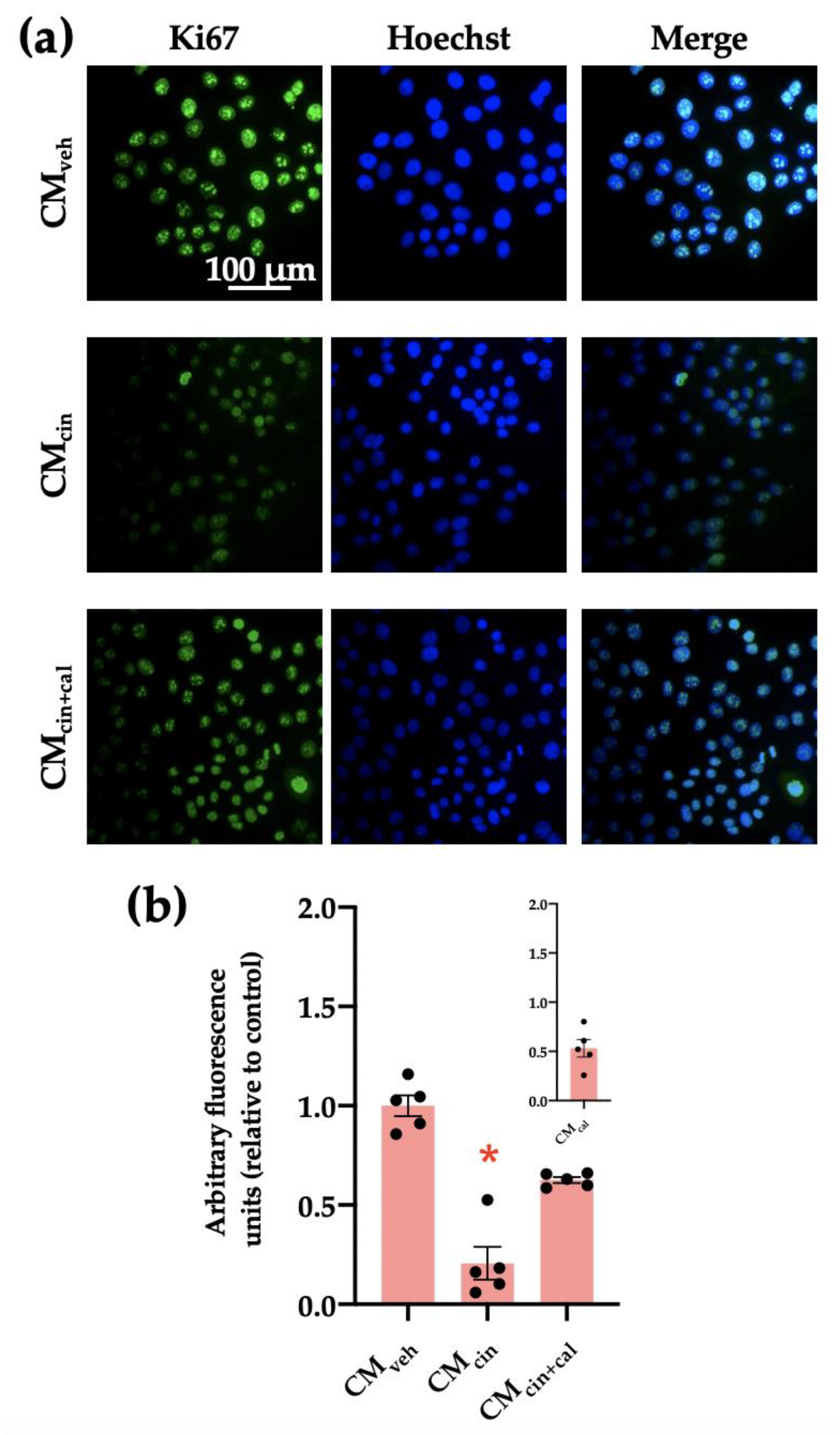 Ijms 24 05217 g003 Ijms 24 05217 g003