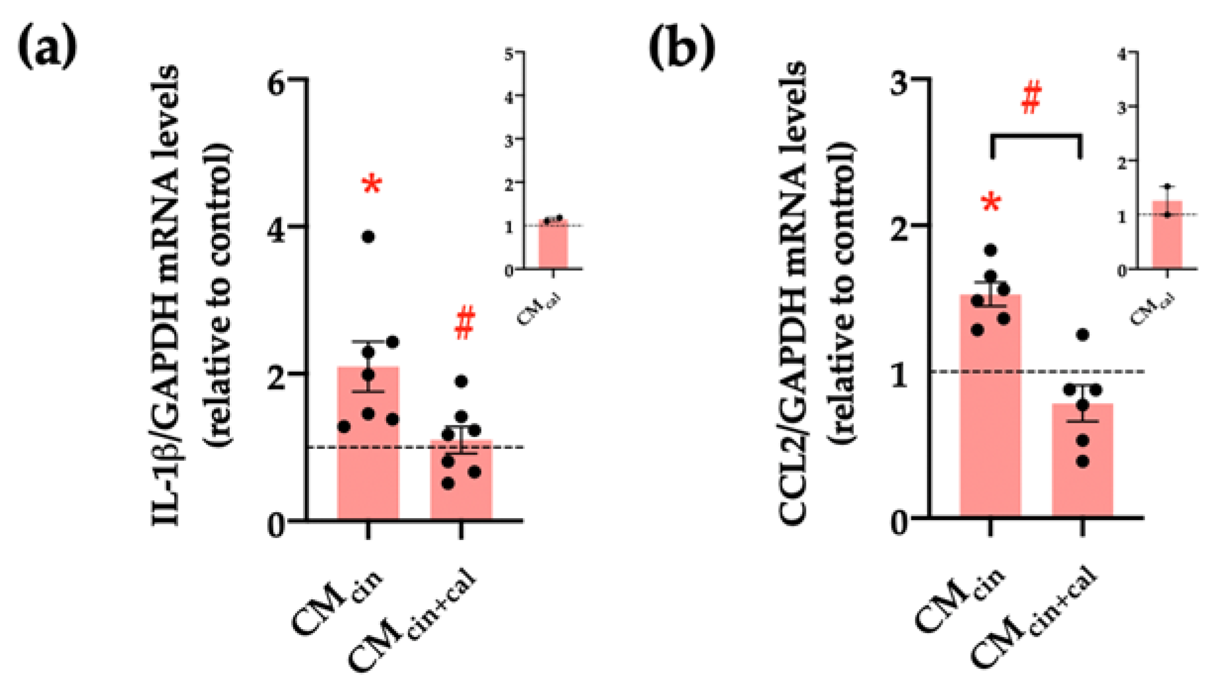 Ijms 24 05217 g004 Ijms 24 05217 g004