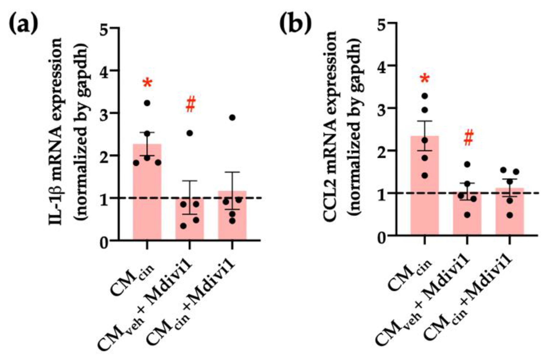 Ijms 24 05217 g011 Ijms 24 05217 g011