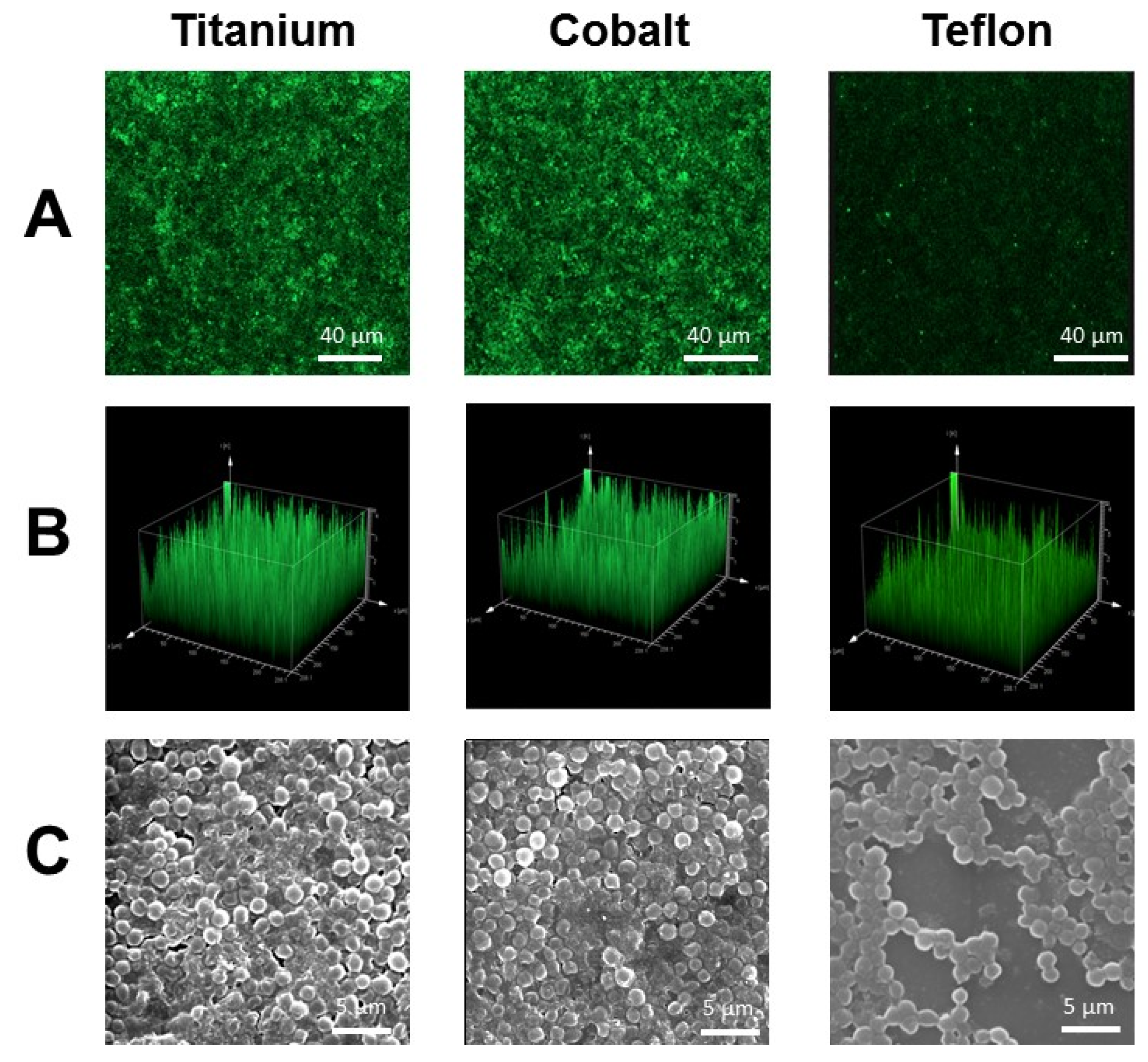 Ijms 24 05218 g001 Ijms 24 05218 g001