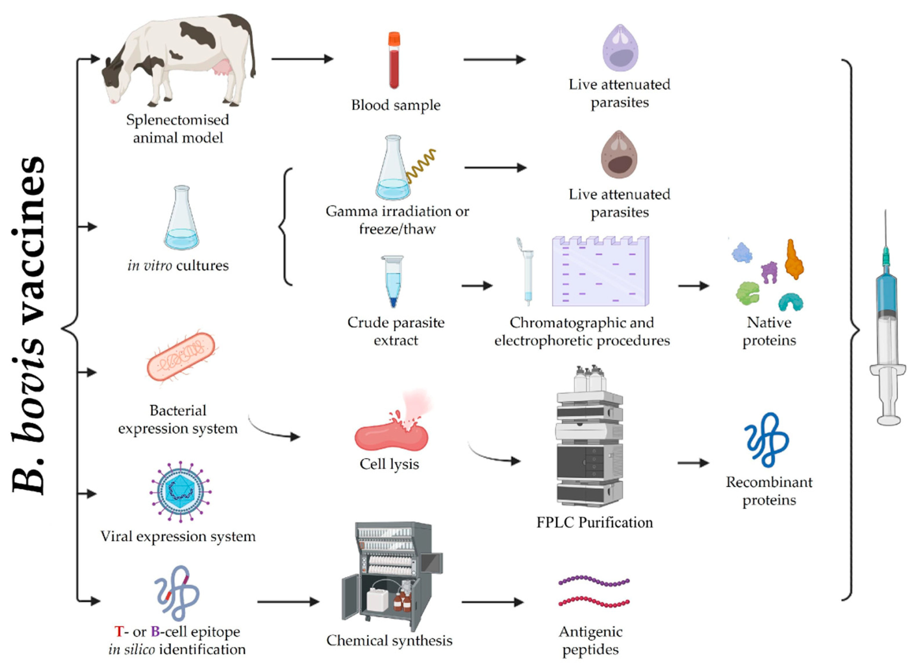 Ijms 24 05219 g002 Ijms 24 05219 g002