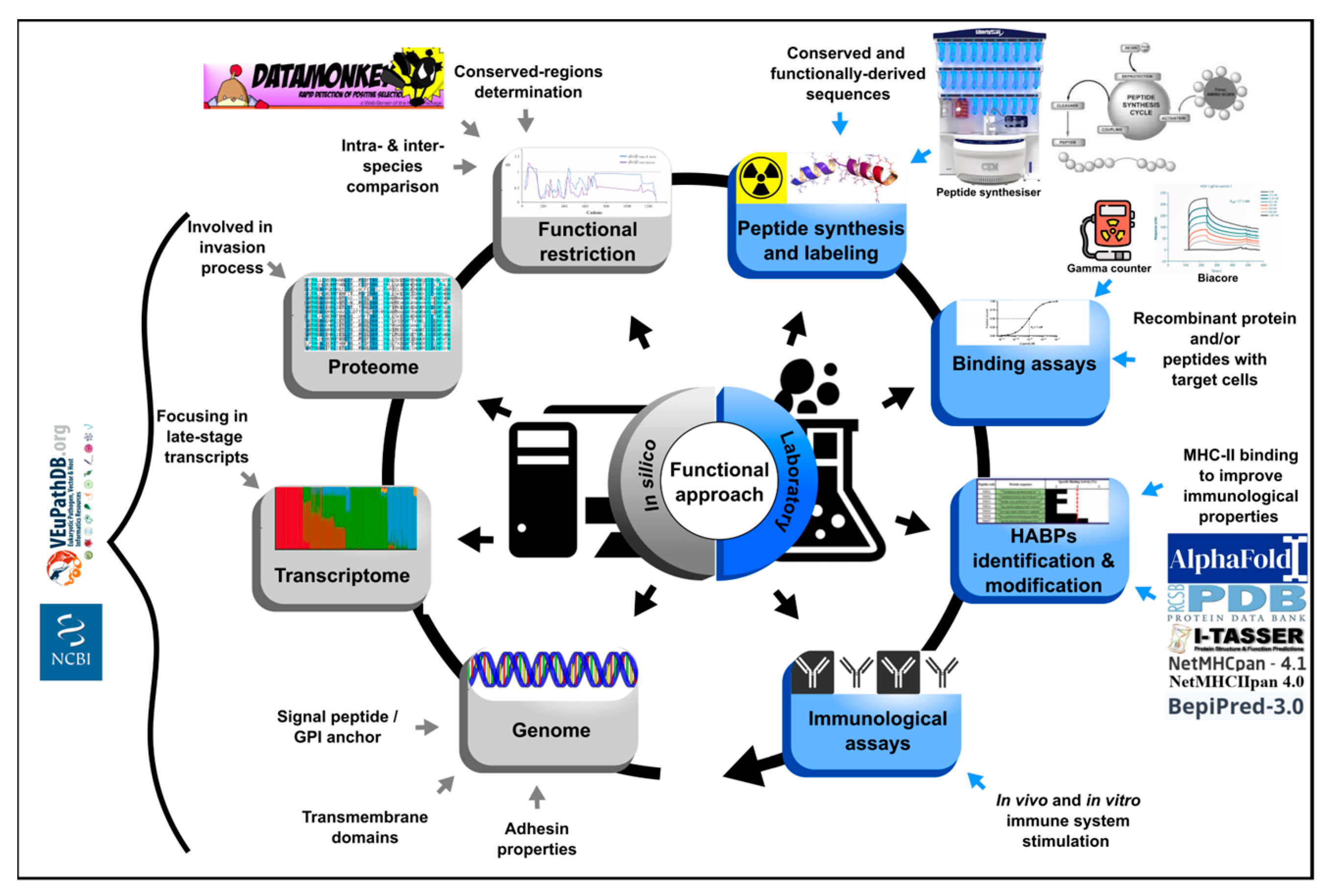 Ijms 24 05219 g003 Ijms 24 05219 g003