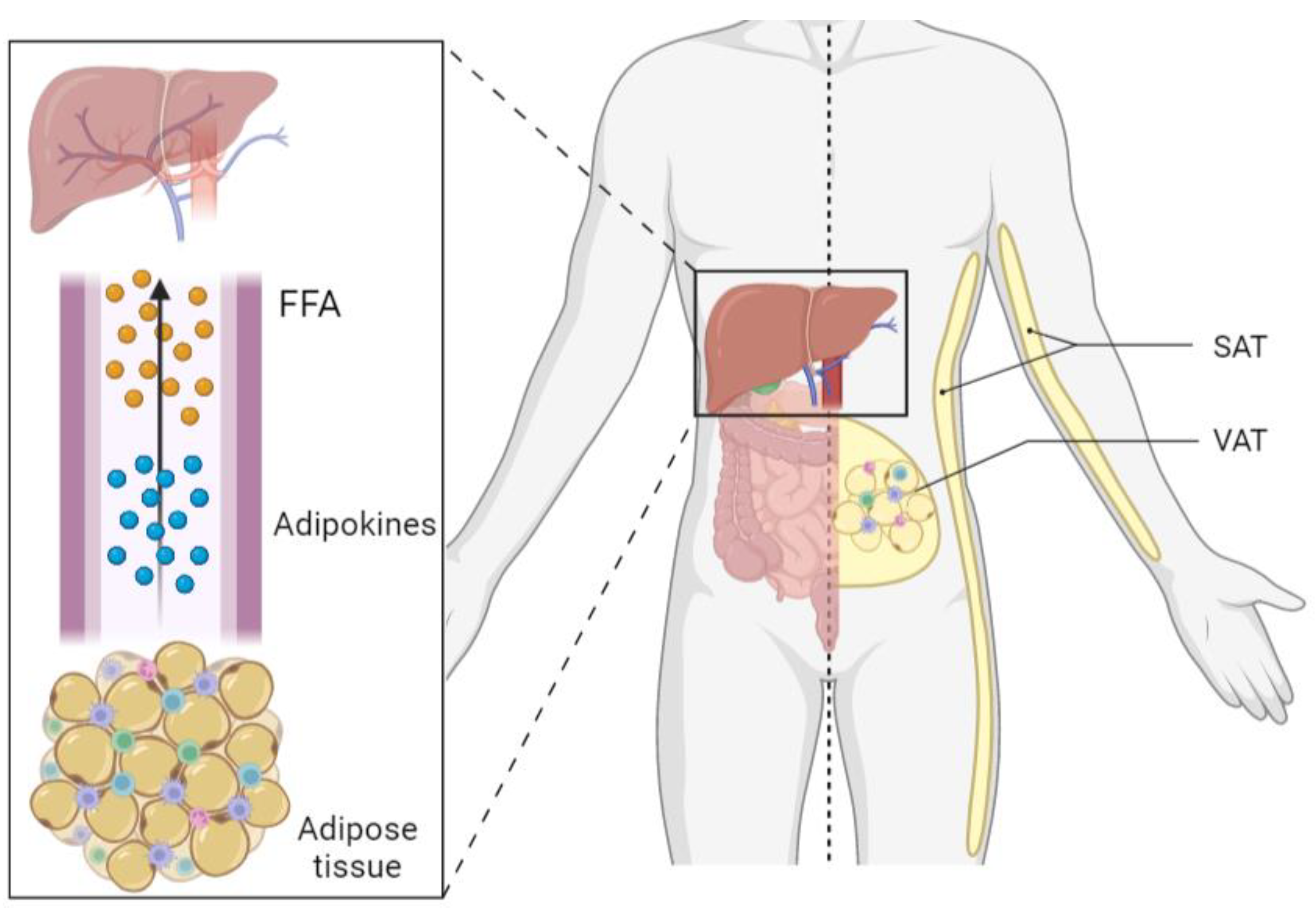 Ijms 24 05221 g001 Ijms 24 05221 g001