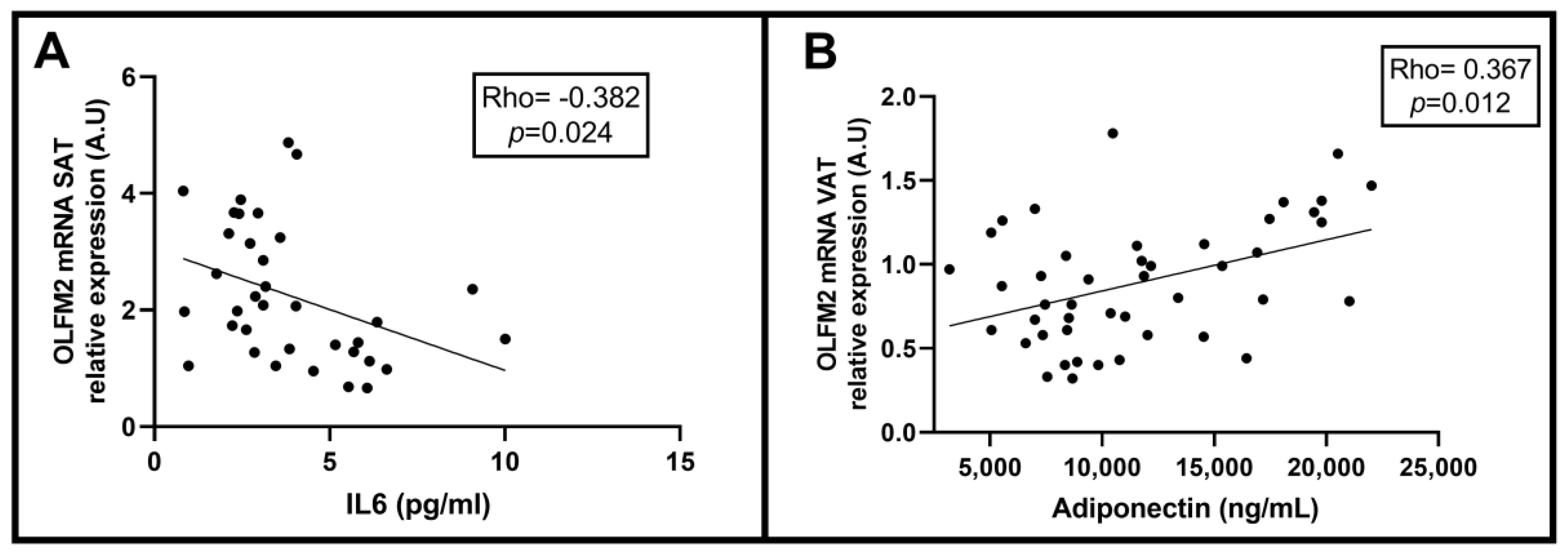 Ijms 24 05221 g006 Ijms 24 05221 g006