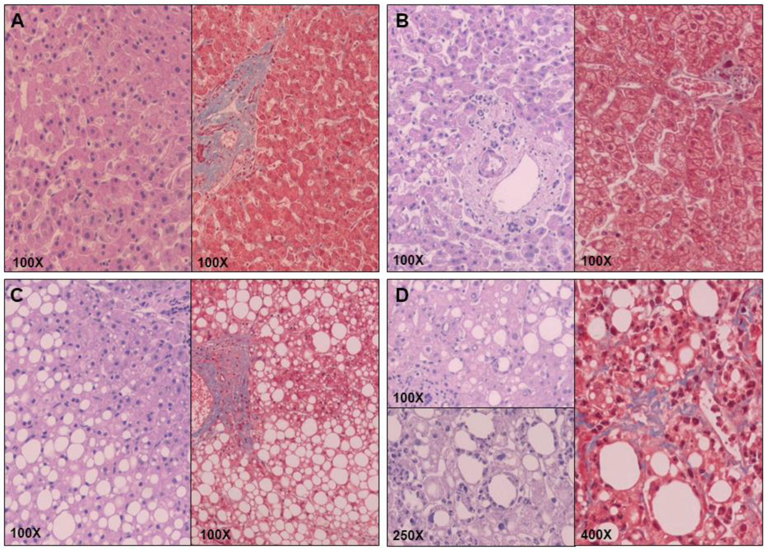 Ijms 24 05221 g007 Ijms 24 05221 g007