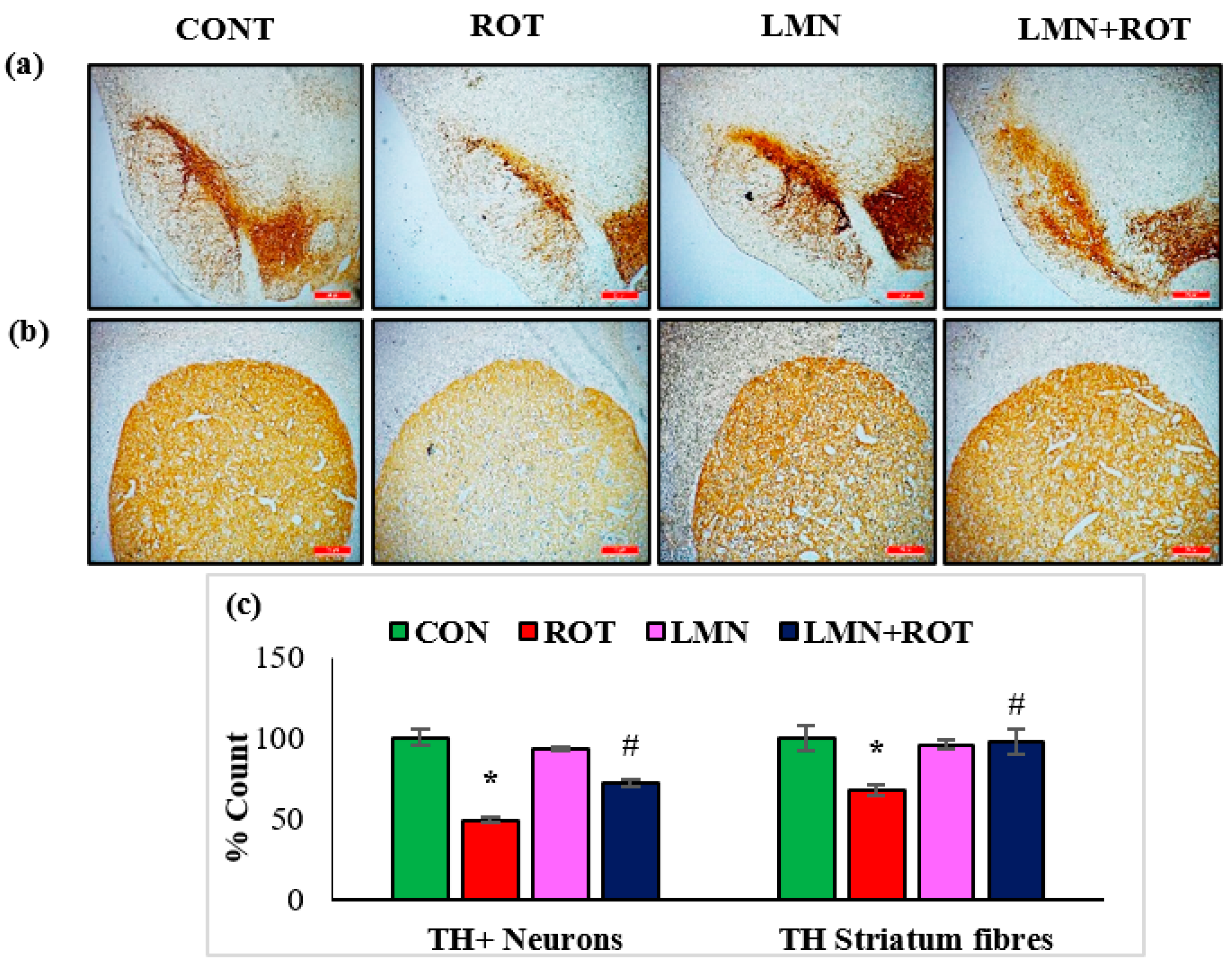 Ijms 24 05222 g002 Ijms 24 05222 g002