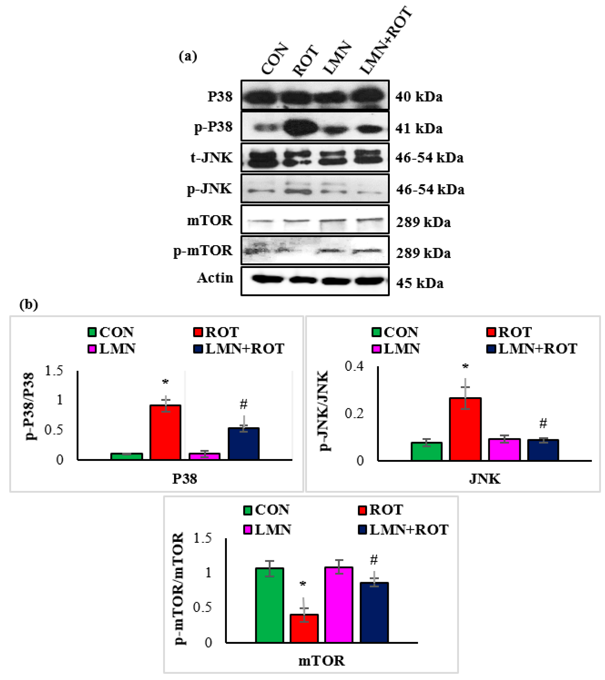 Ijms 24 05222 g008 Ijms 24 05222 g008