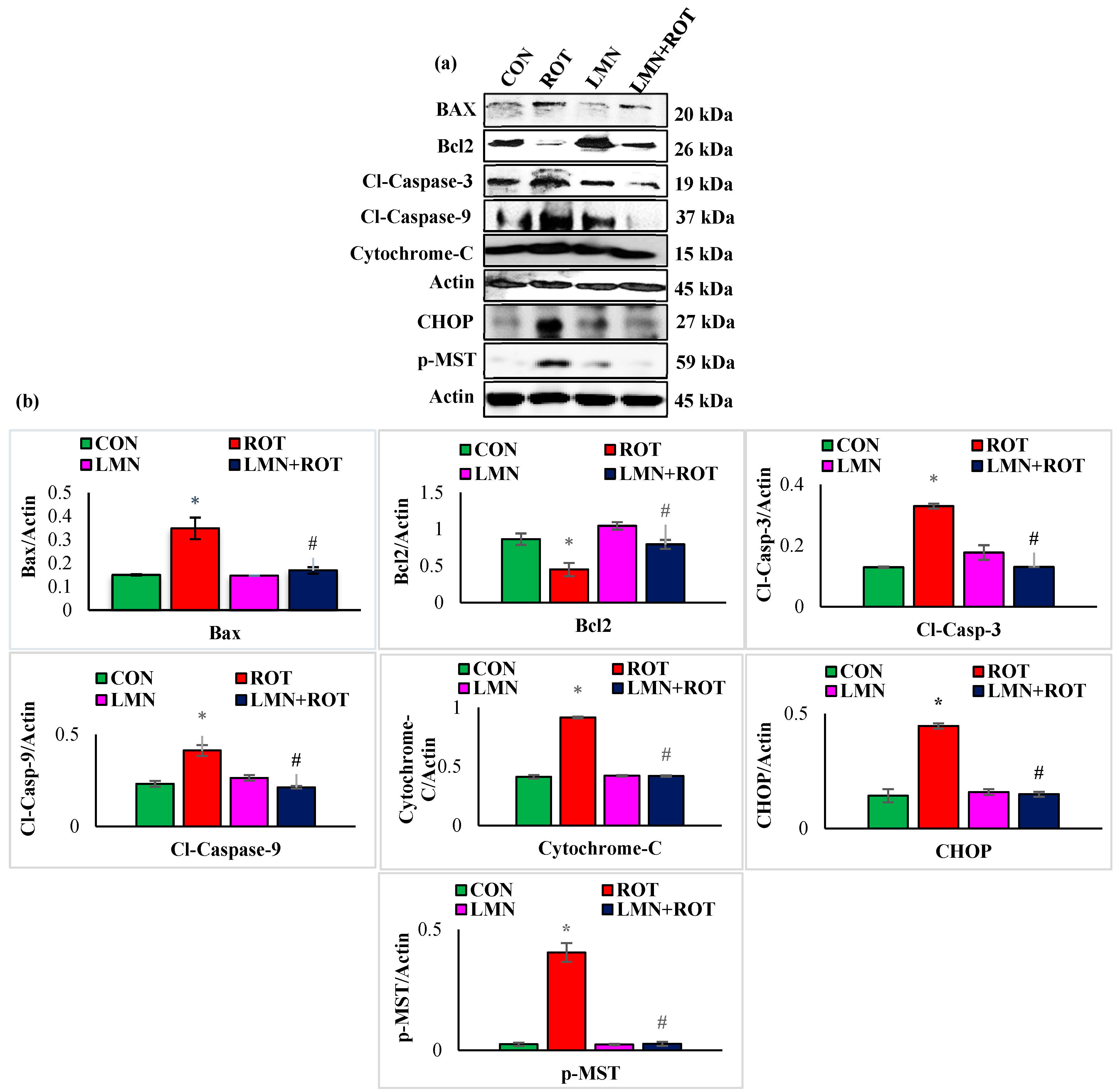 Ijms 24 05222 g010 Ijms 24 05222 g010