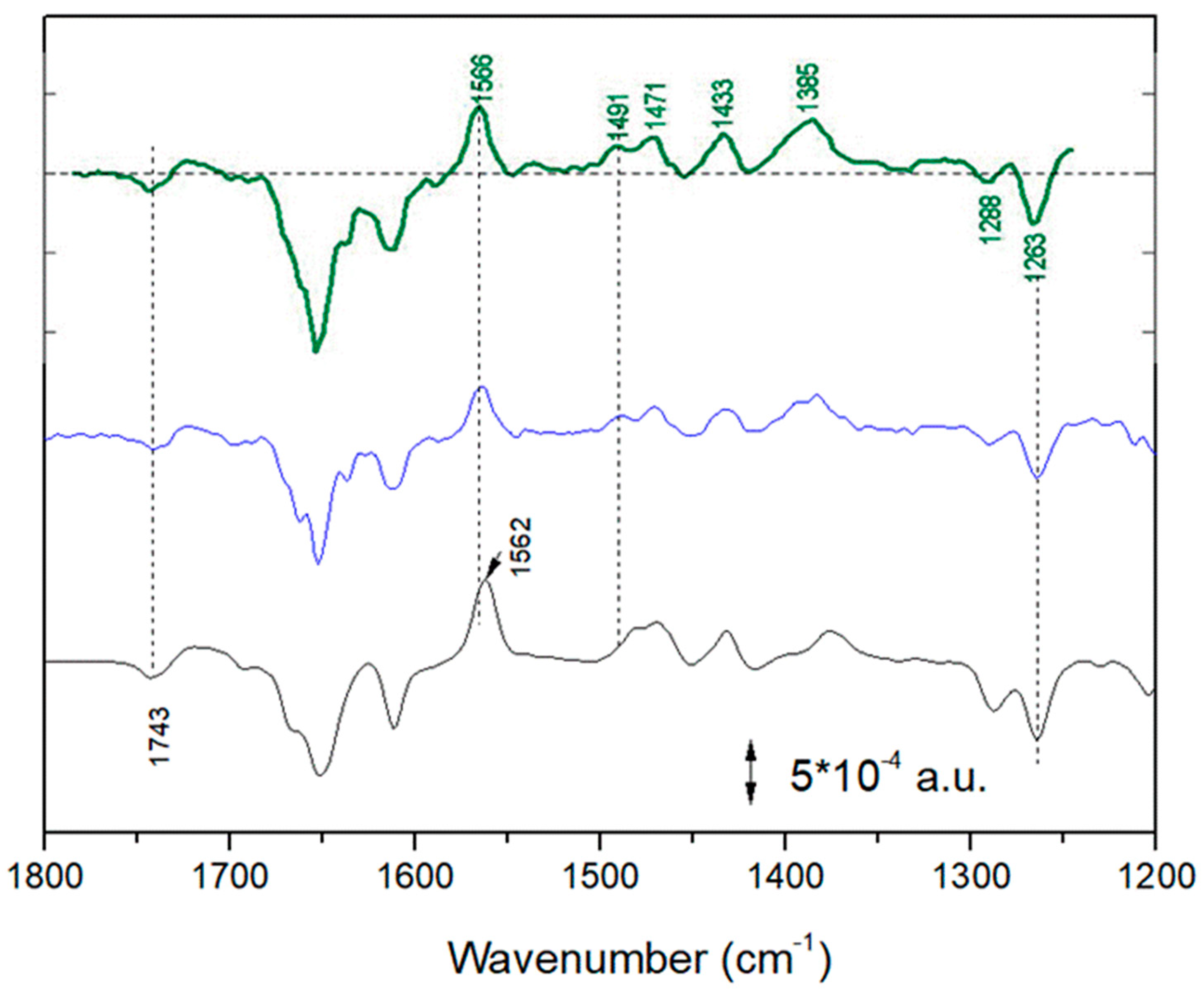 Ijms 24 05233 g004 Ijms 24 05233 g004
