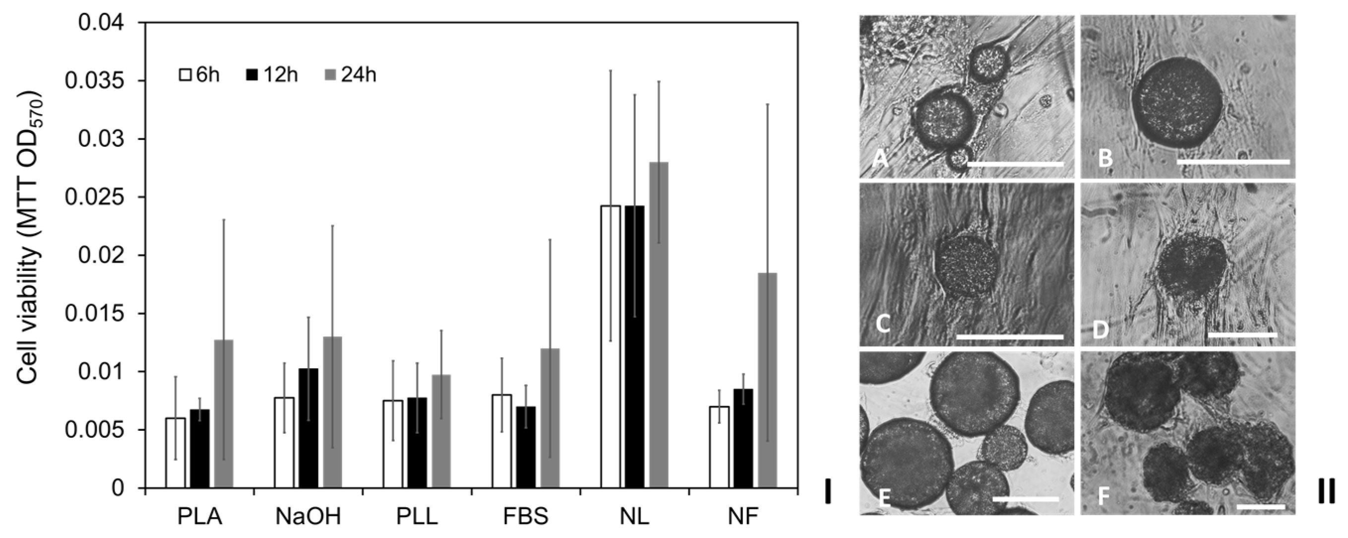 Ijms 24 05234 g005 Ijms 24 05234 g005