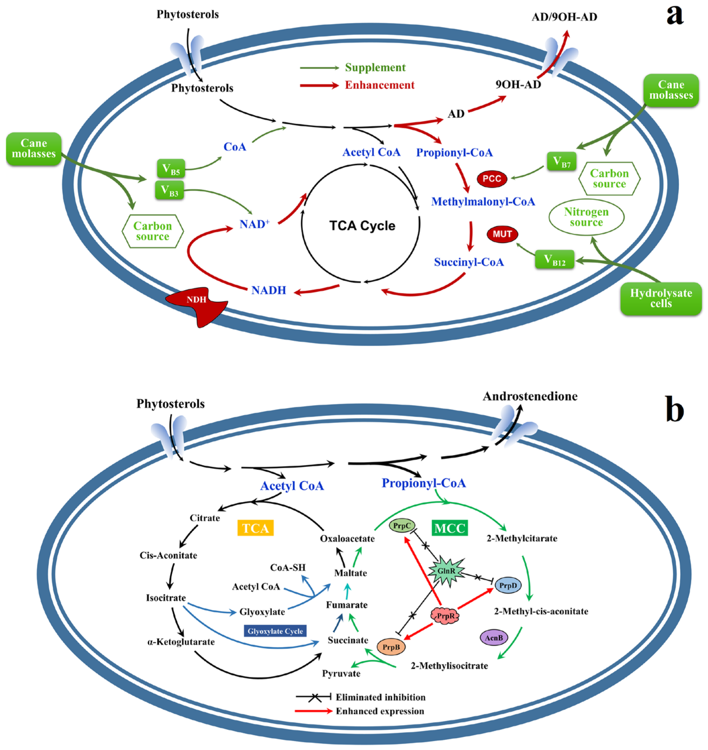 Ijms 24 05236 g003 Ijms 24 05236 g003