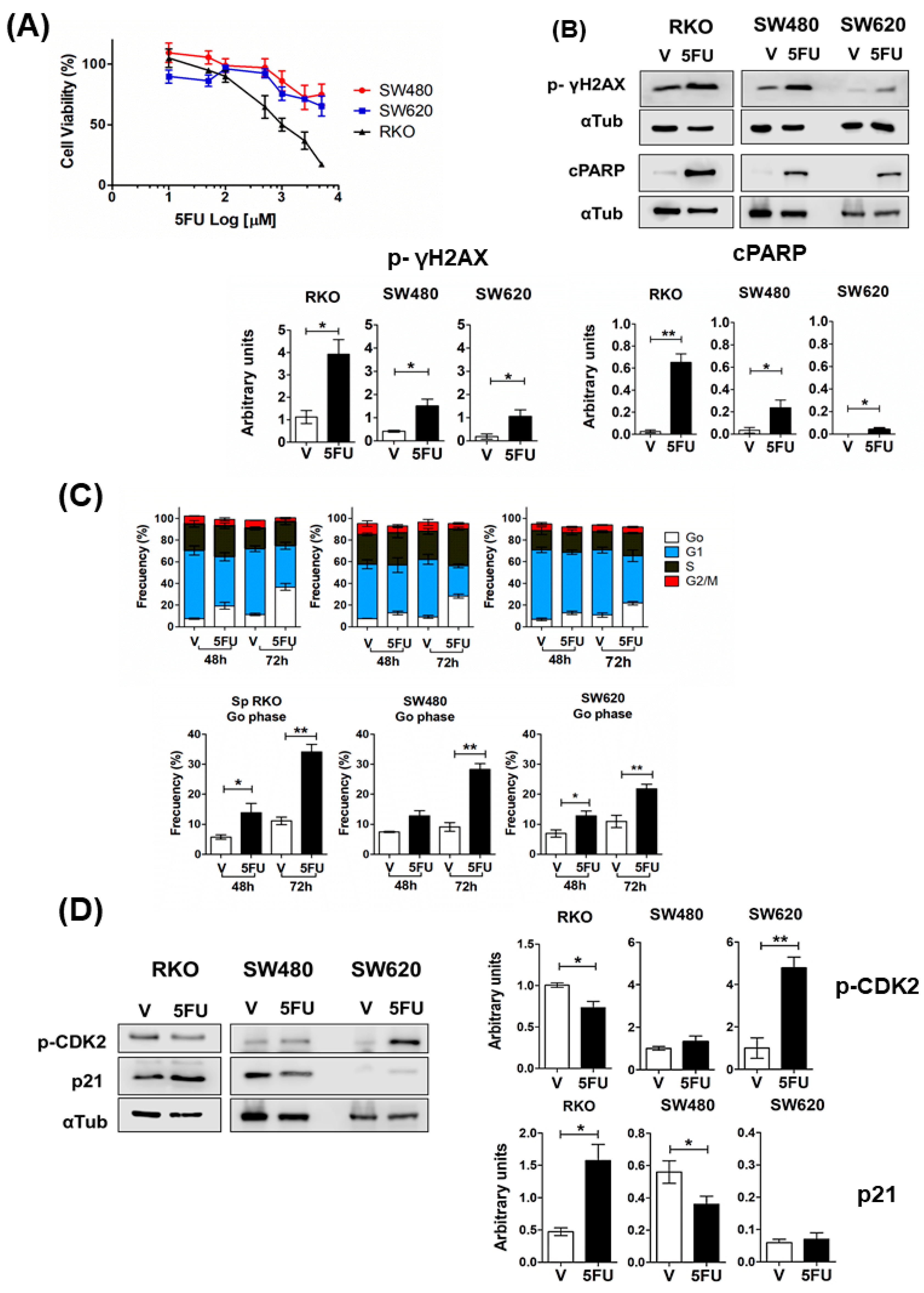 Ijms 24 05252 g002 Ijms 24 05252 g002