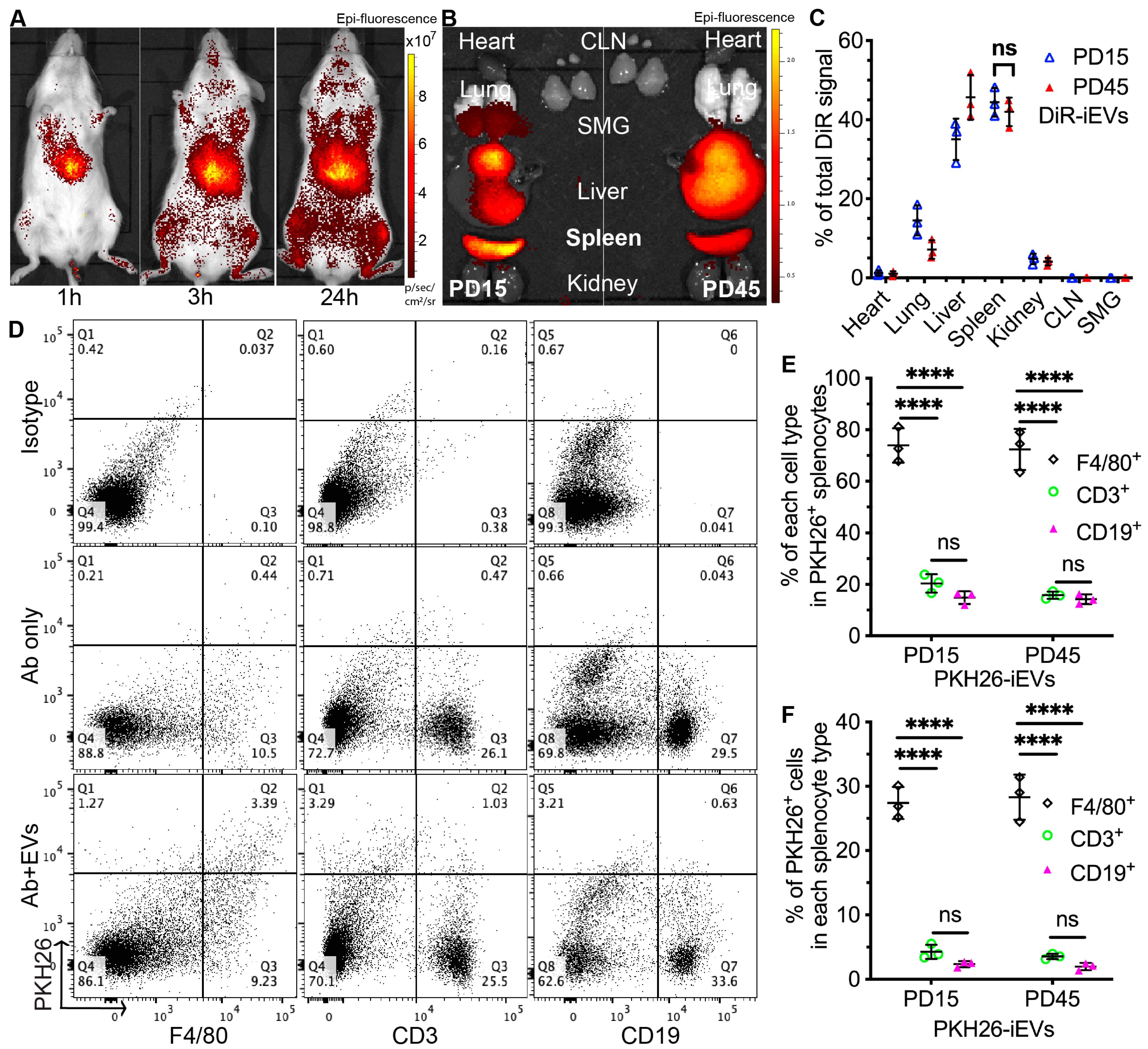 Ijms 24 05258 g001 Ijms 24 05258 g001