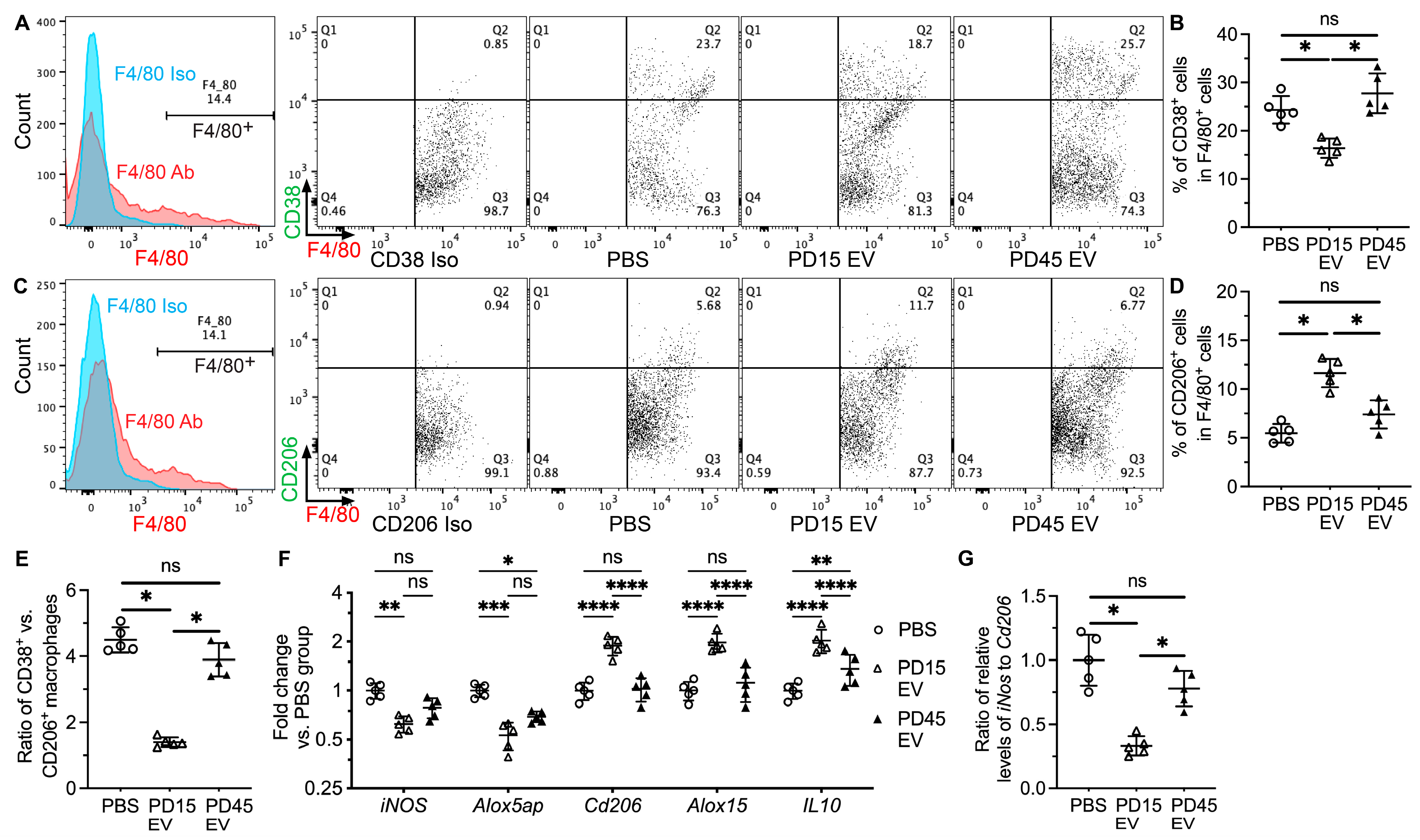 Ijms 24 05258 g002 Ijms 24 05258 g002