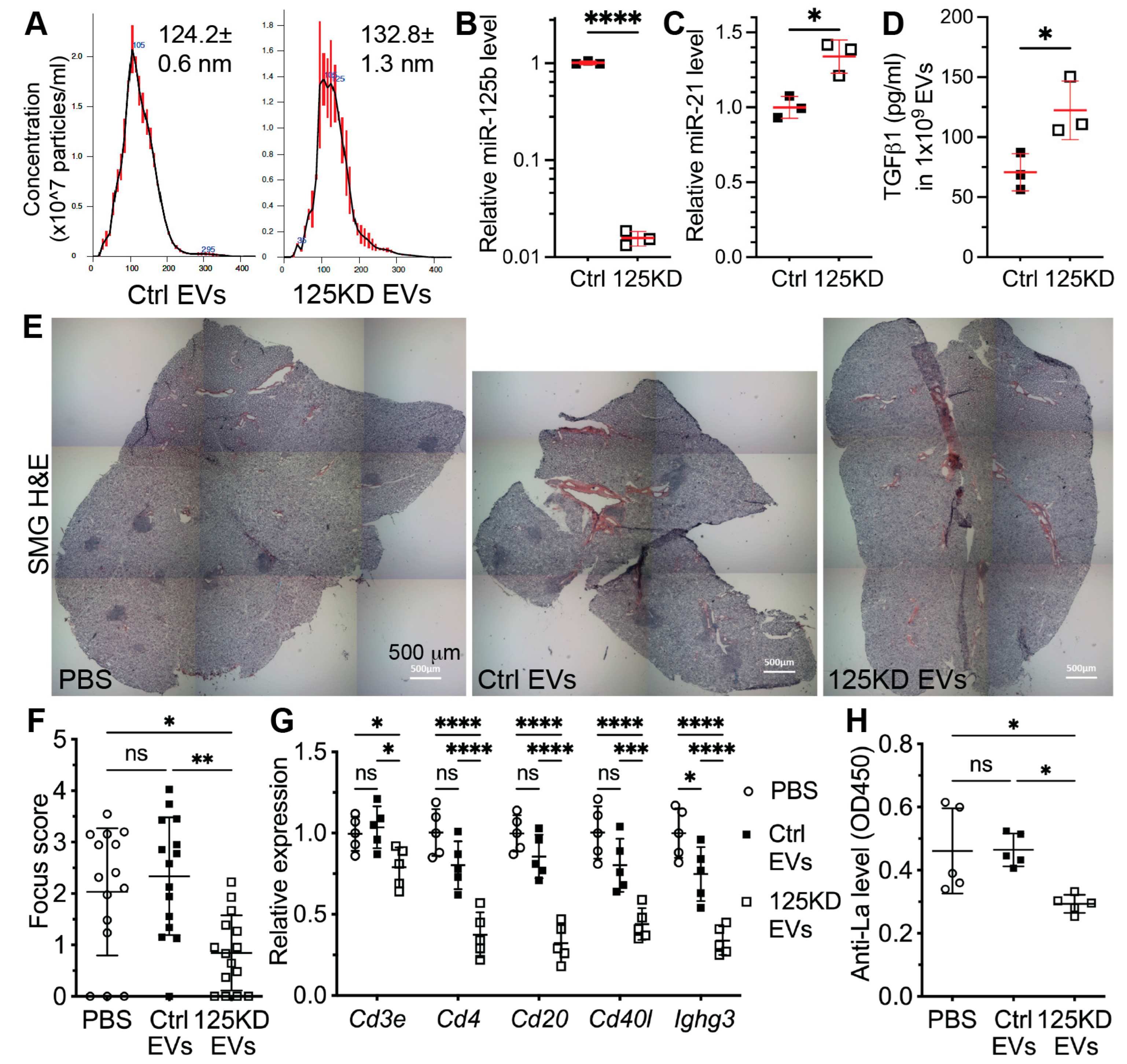Ijms 24 05258 g004 Ijms 24 05258 g004