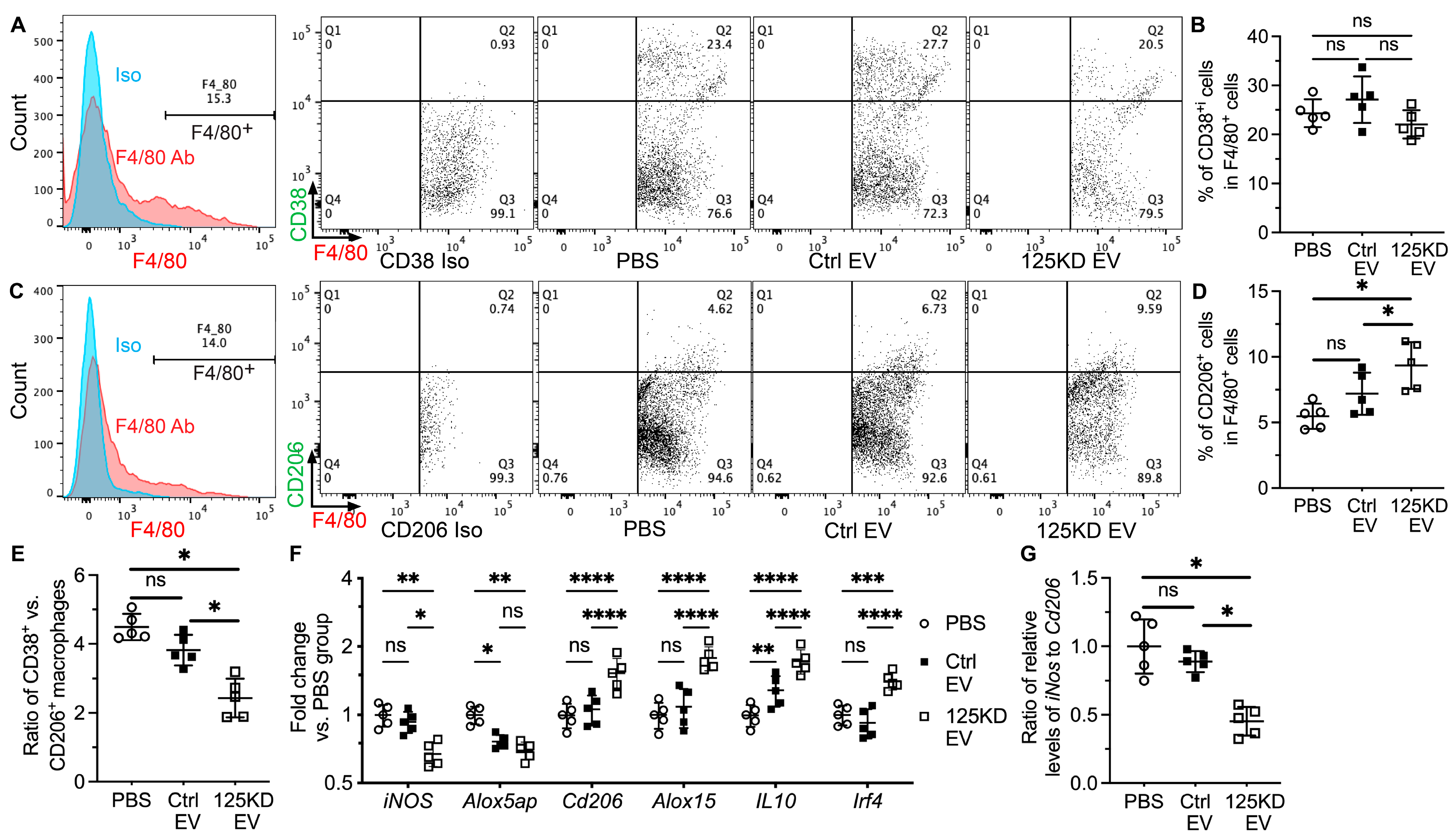 Ijms 24 05258 g005 Ijms 24 05258 g005