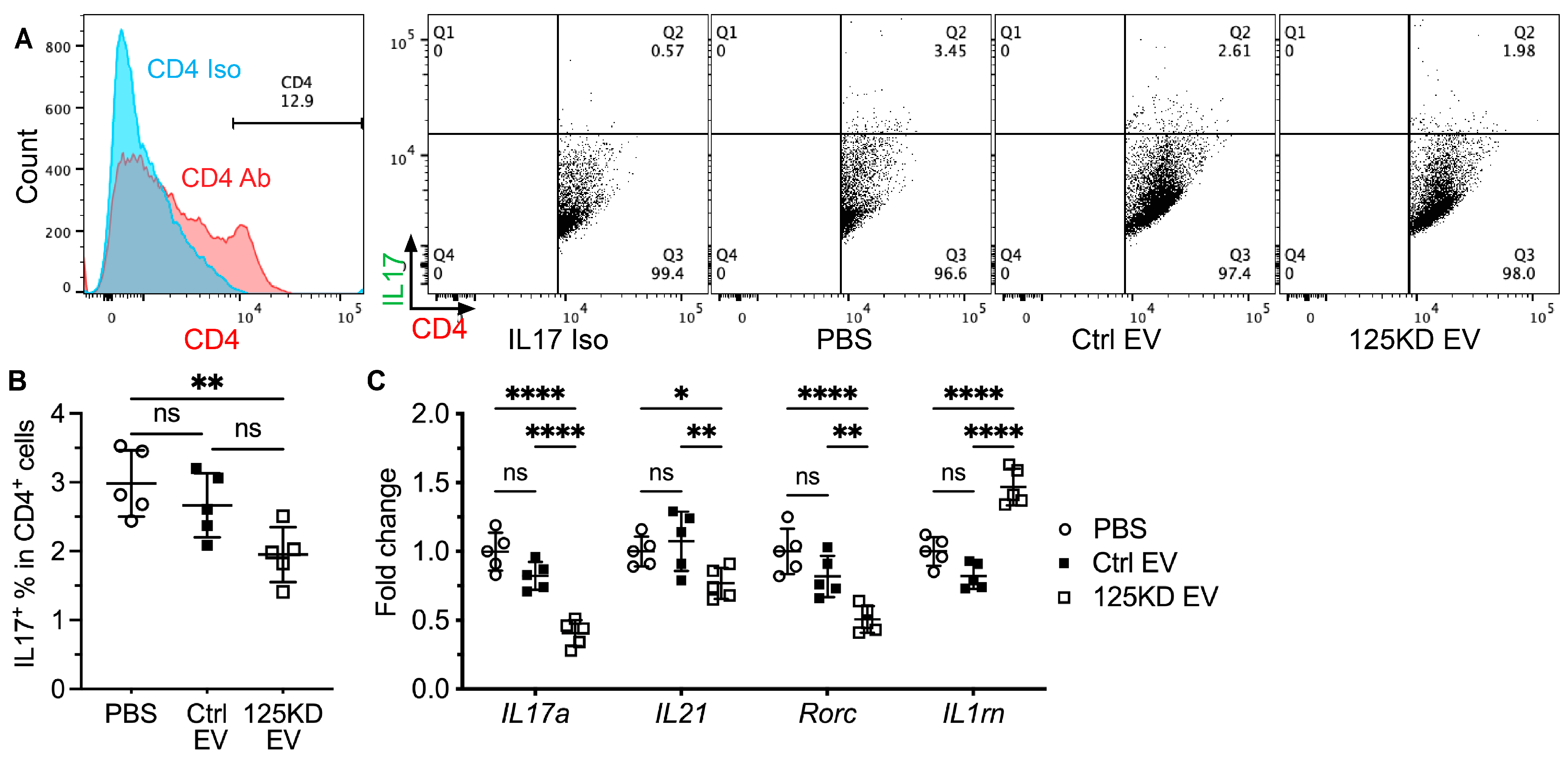 Ijms 24 05258 g006 Ijms 24 05258 g006